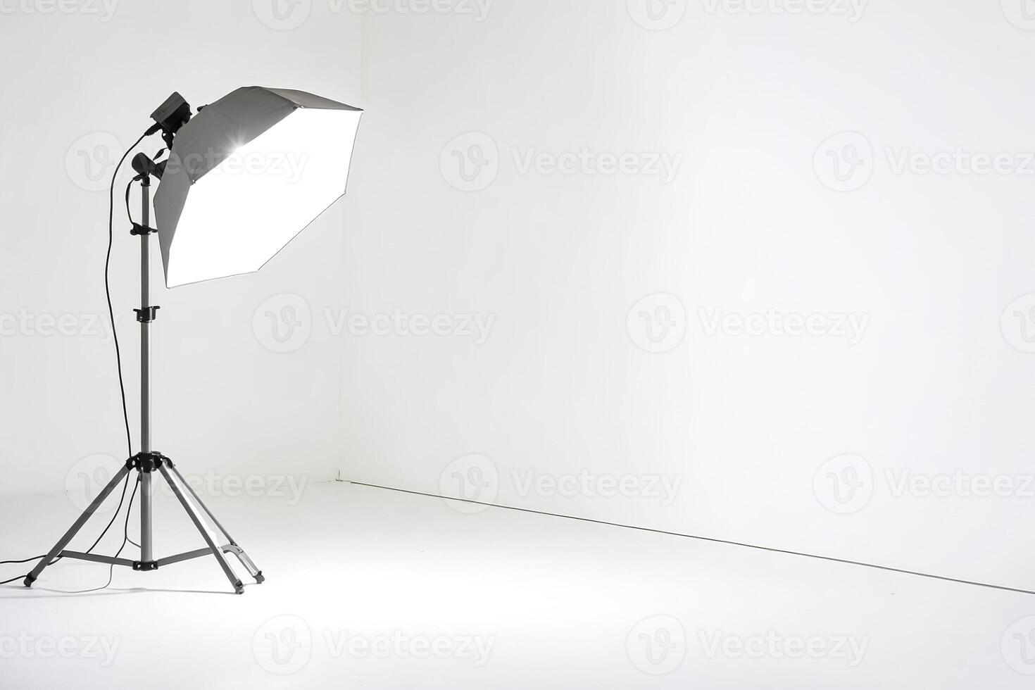 Studio Lighting Setup with Softbox photo