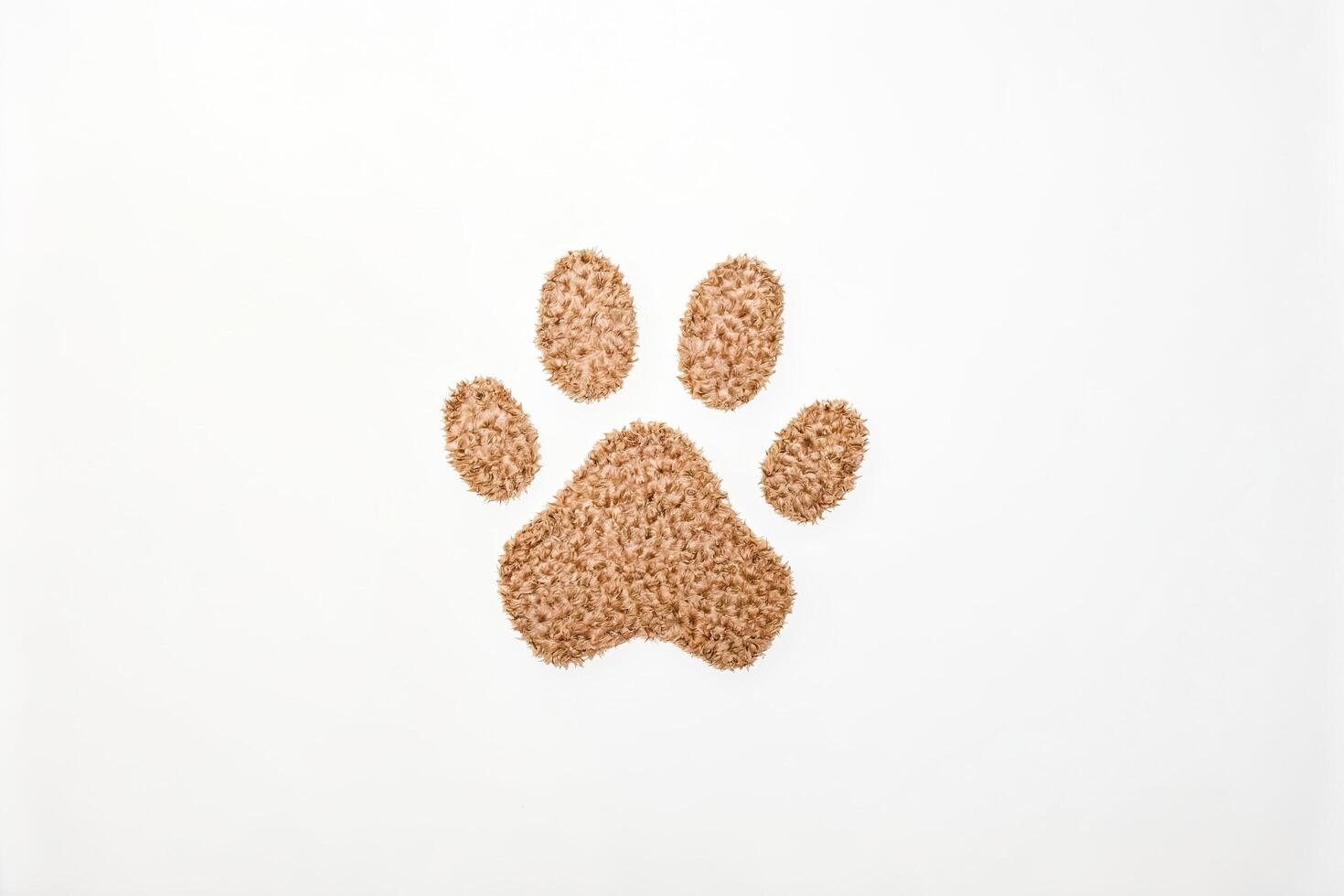 Fluffy Paw Print on White Background photo