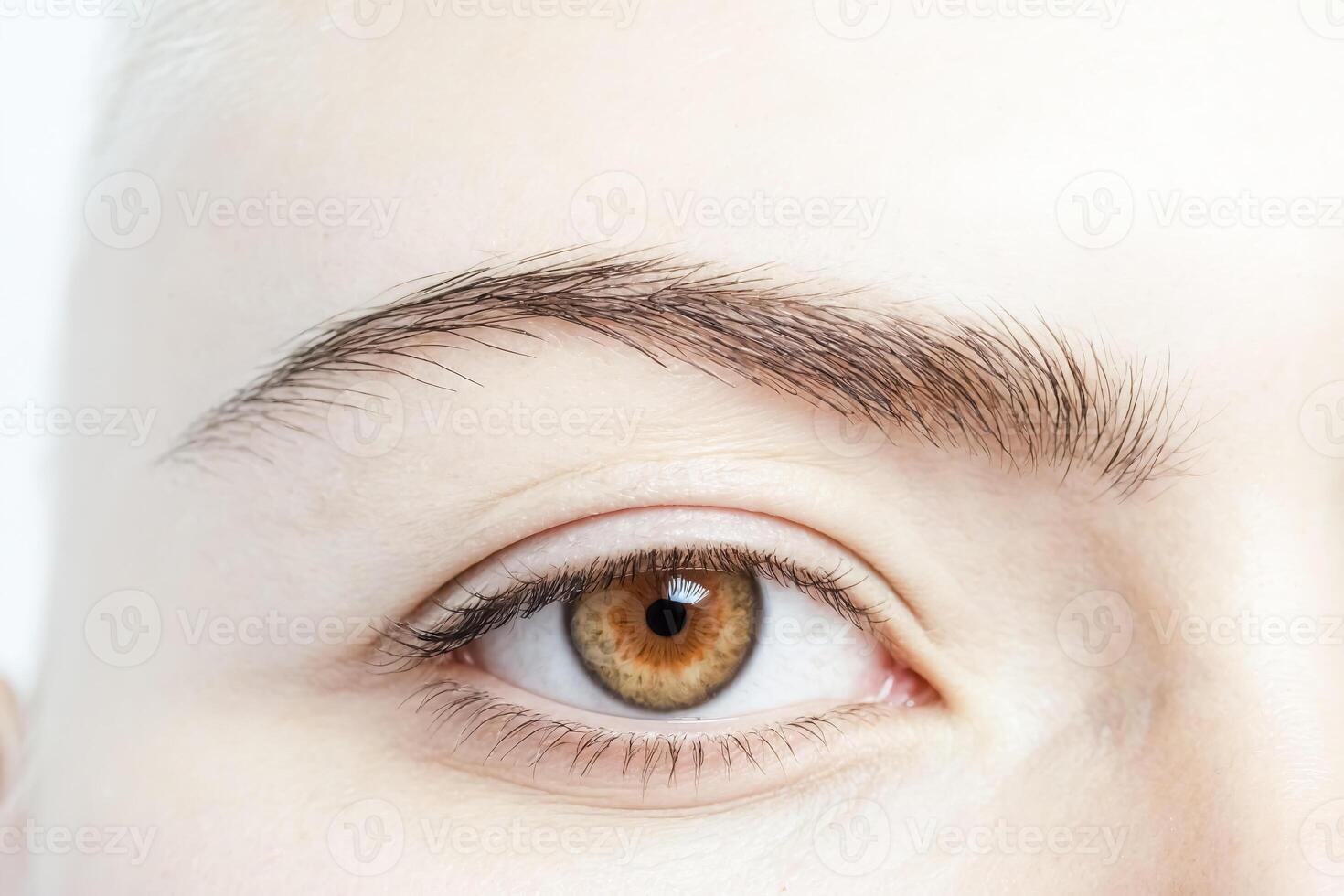 Close-up of a brown eye with long eyelashes photo