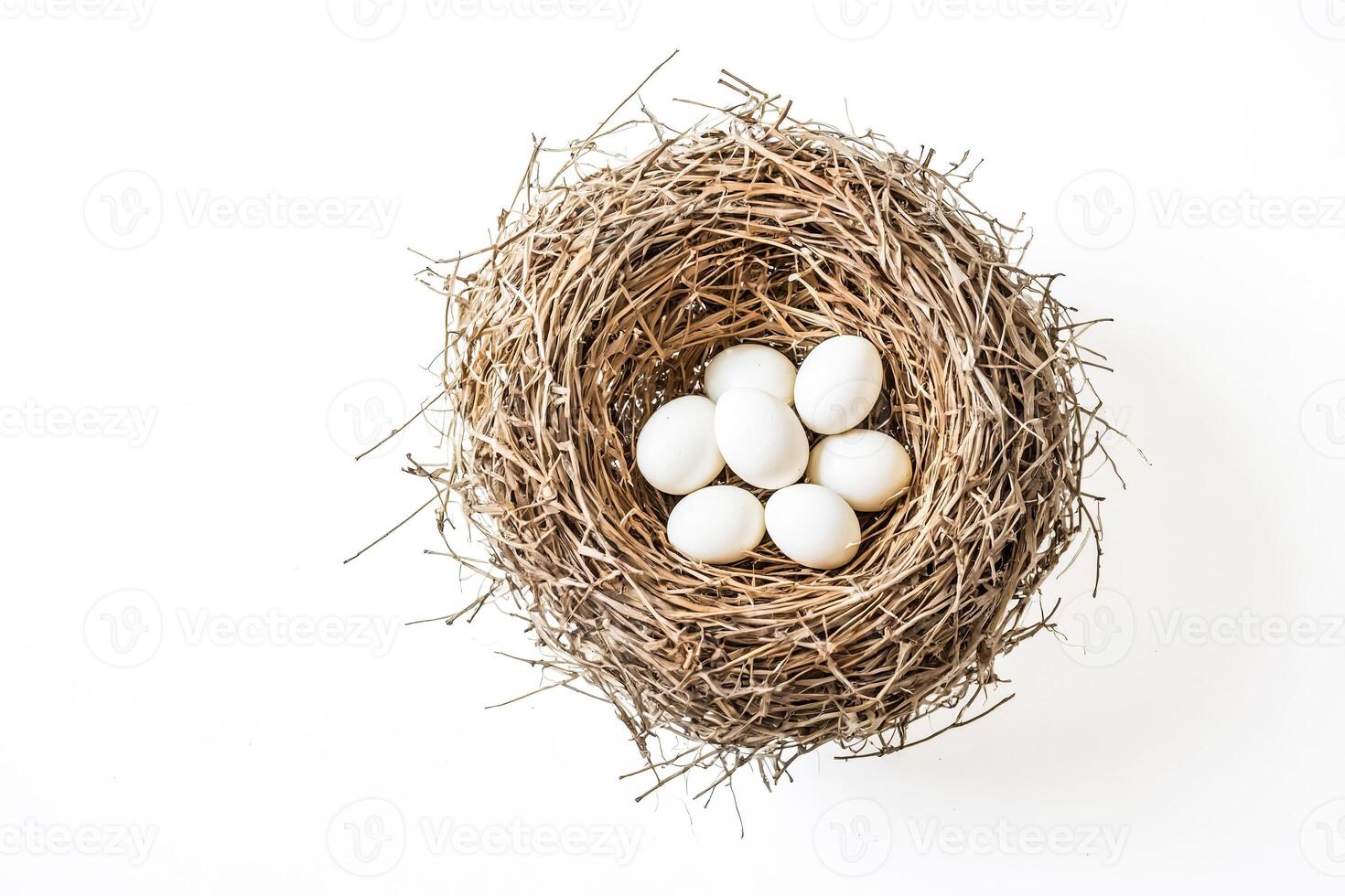 White Eggs in a Bird Nest photo