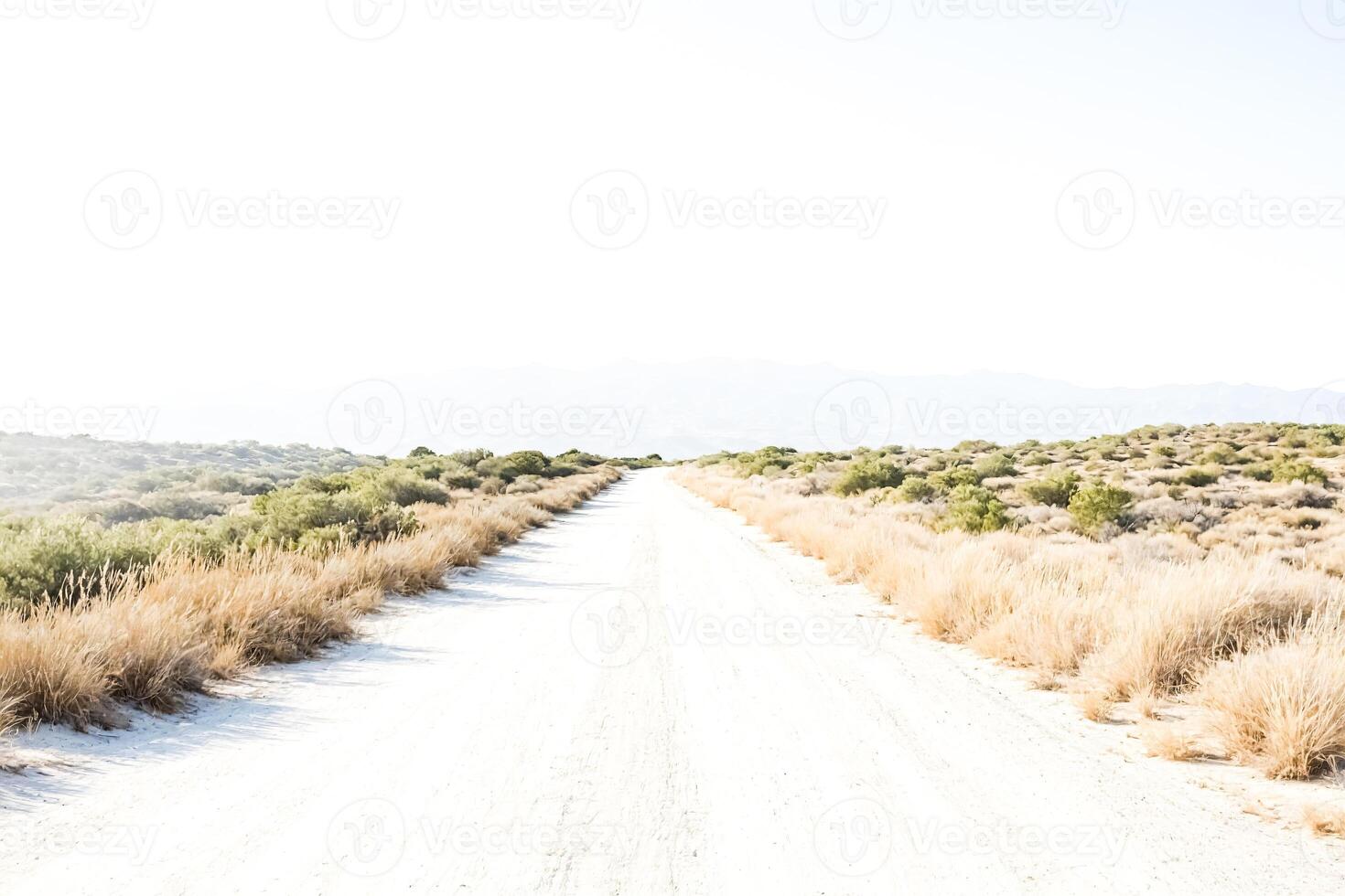 White Dirt Road Through Desert Landscape photo