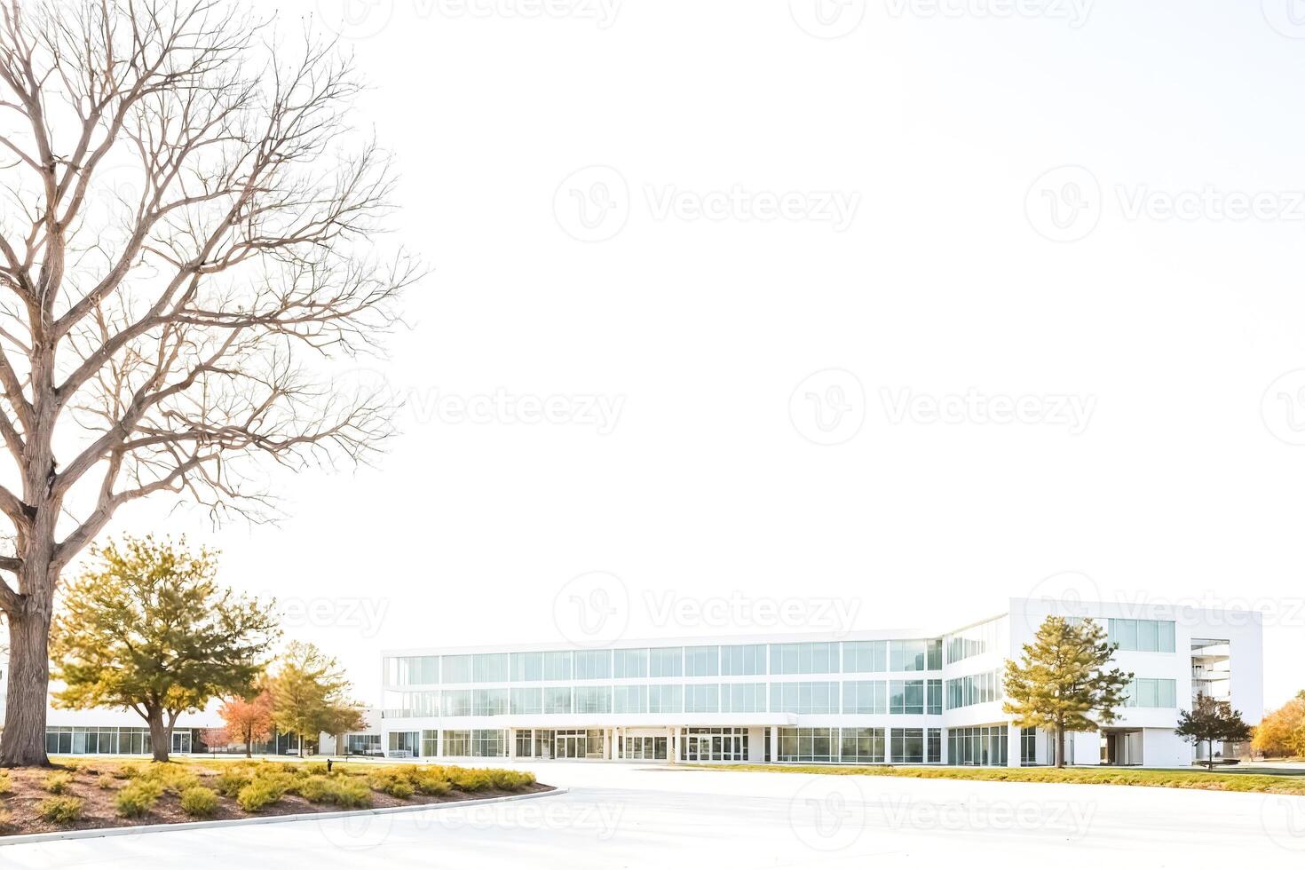 Modern Office Building with Trees in Front photo