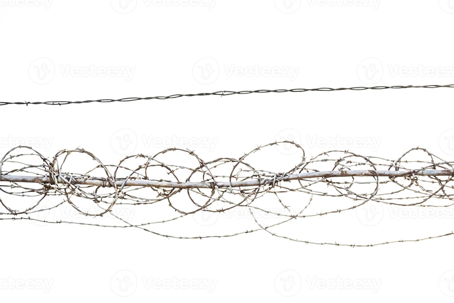 Barbed Wire Fence Isolated on White Background photo