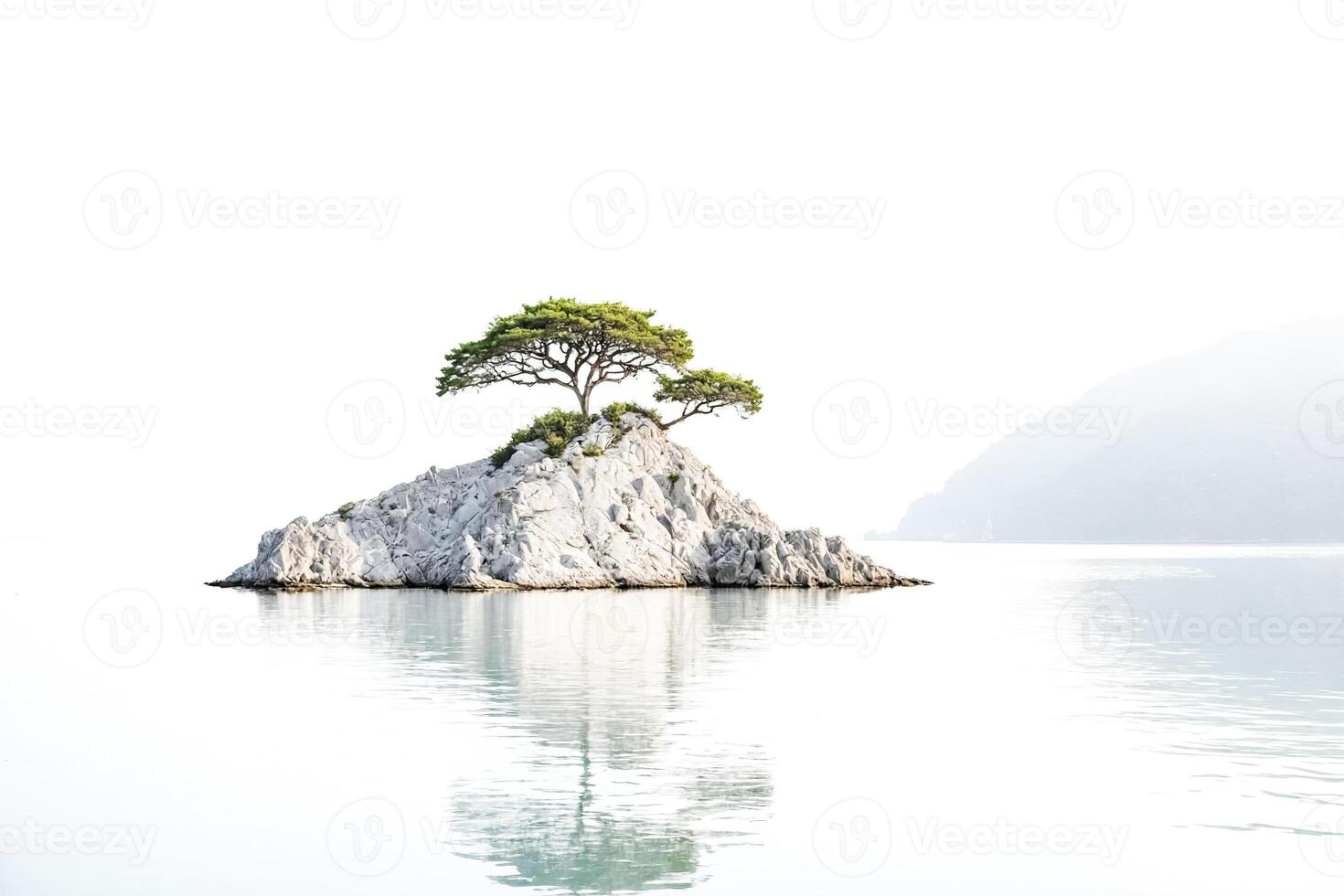 Lone Tree on a Rocky Island in a Calm Sea photo