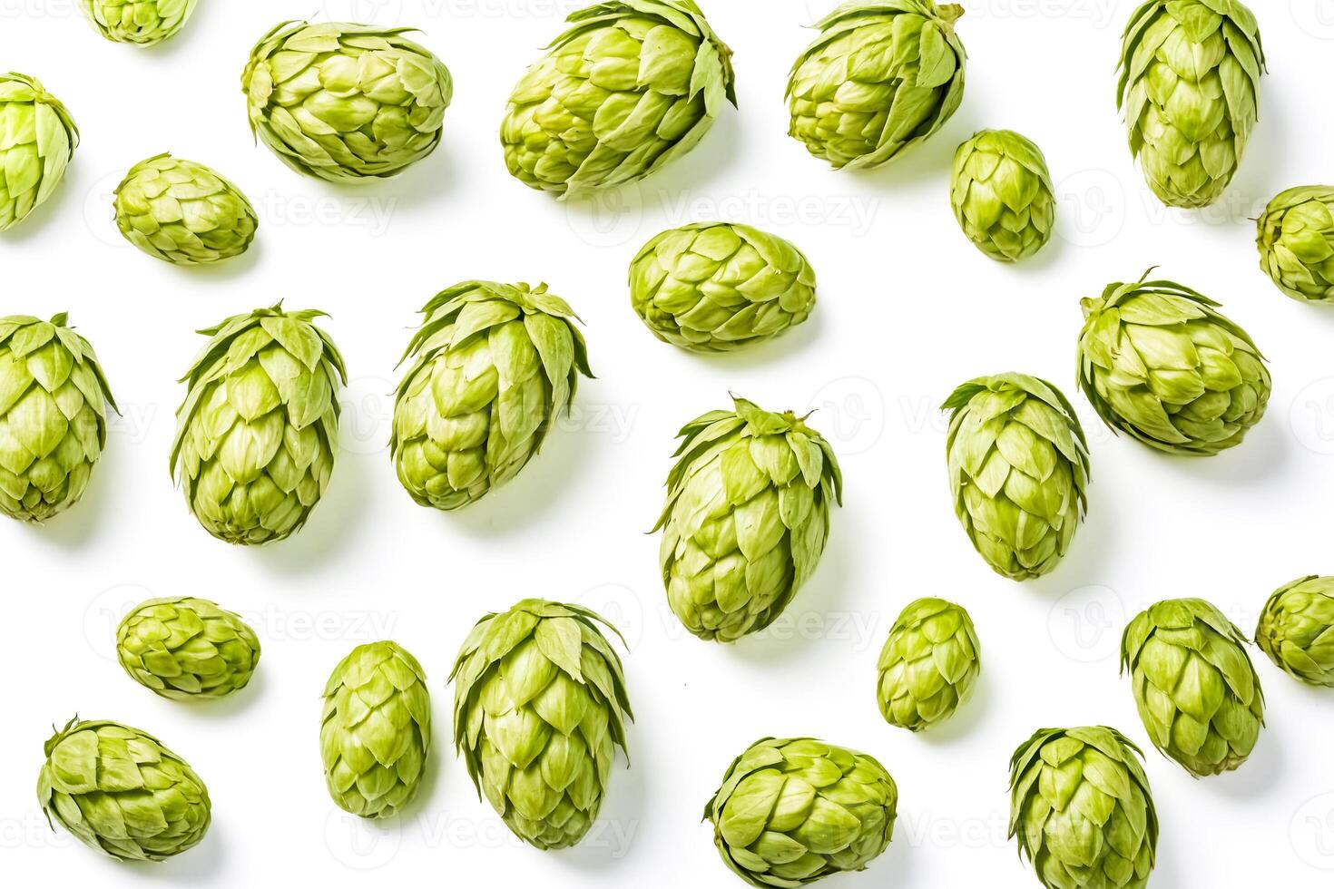 Green Hop Cones Isolated on White Background photo