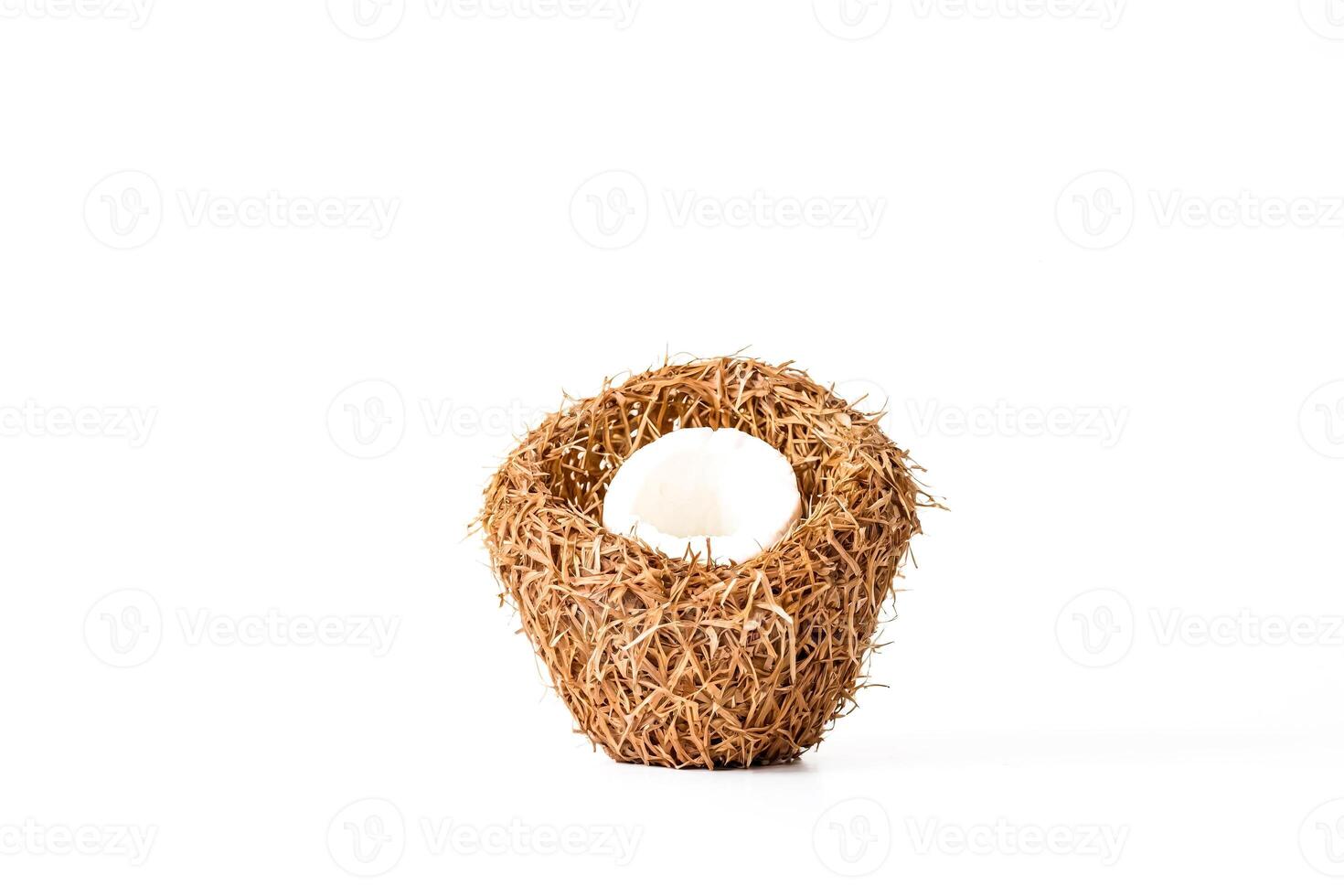 A Single White Egg in a Brown Bird's Nest photo