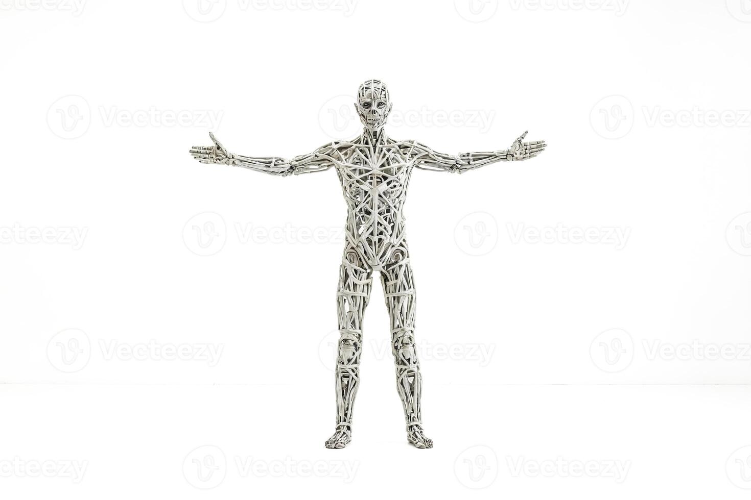 3D Render of a Wireframe Human Figure photo