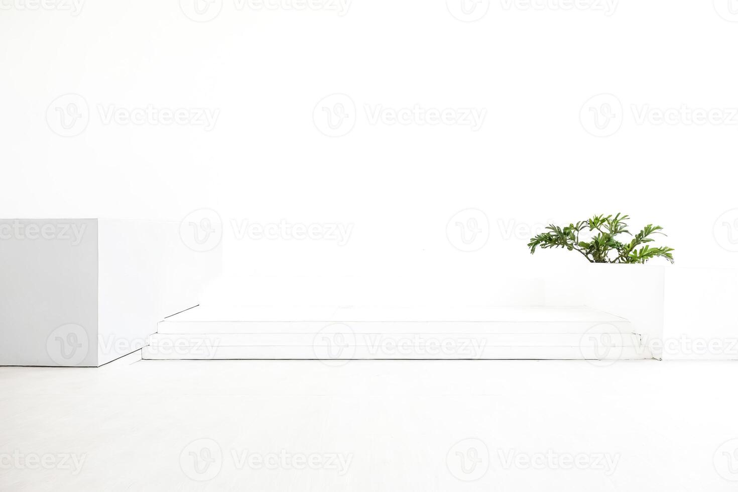Minimalist White Interior with Greenery photo