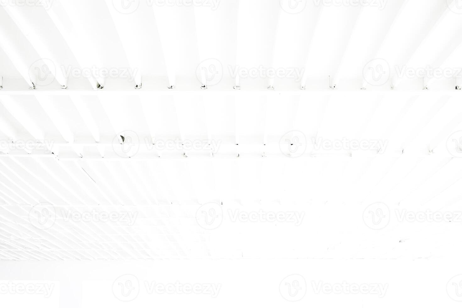 White Ceiling with Grid Pattern photo