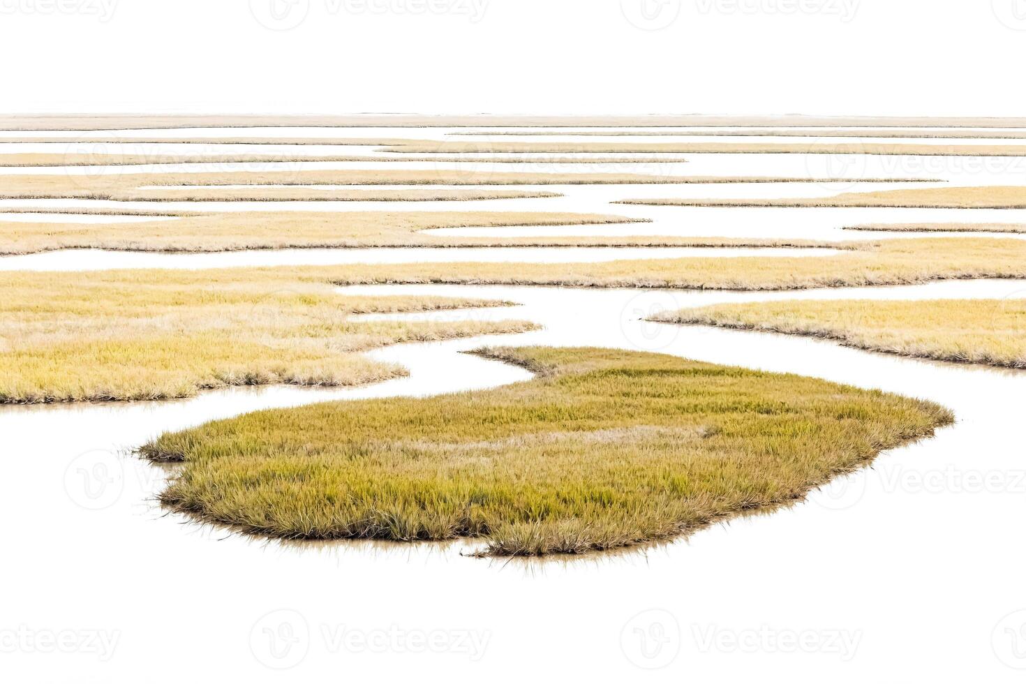 Isolated Aerial View of Grassy Island in a Watery Landscape photo