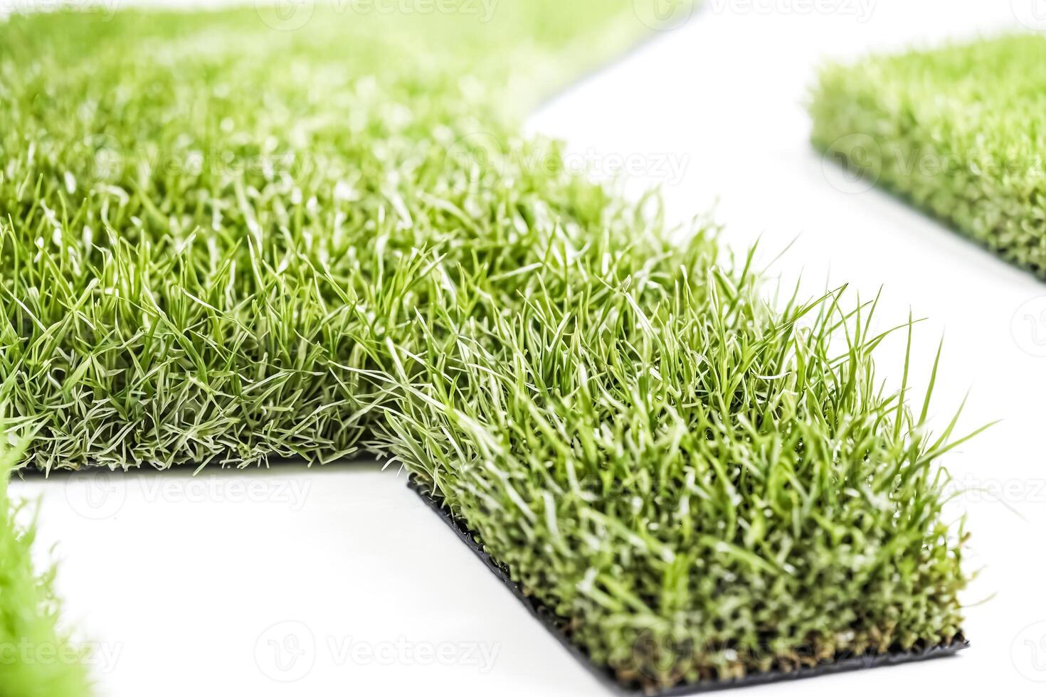 Green Grass Texture with White Background photo