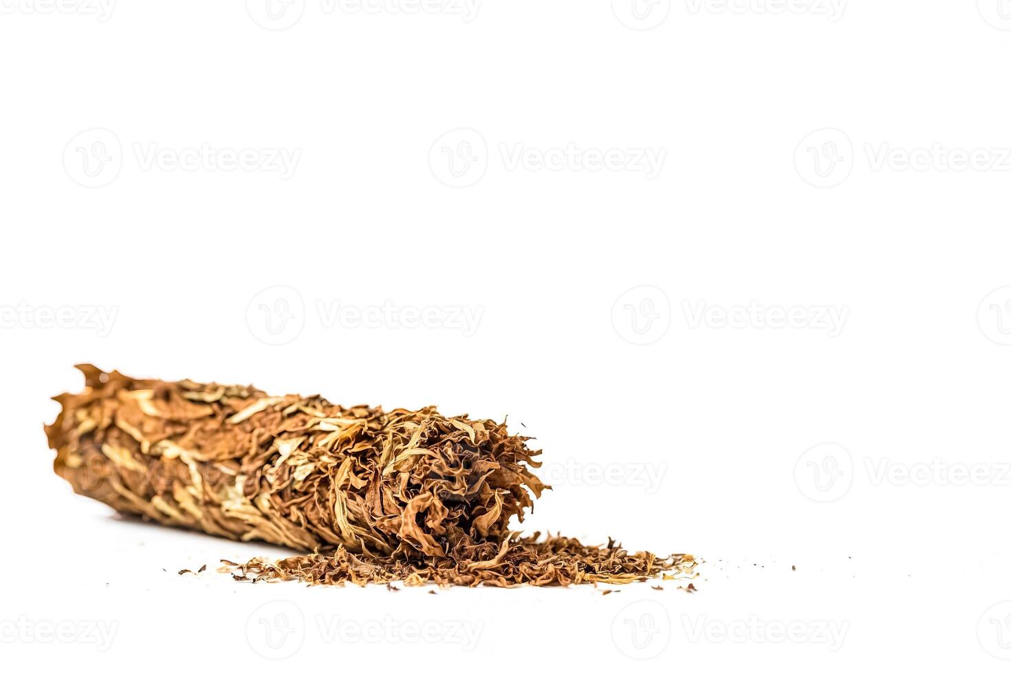 Tobacco Leaves Close Up photo