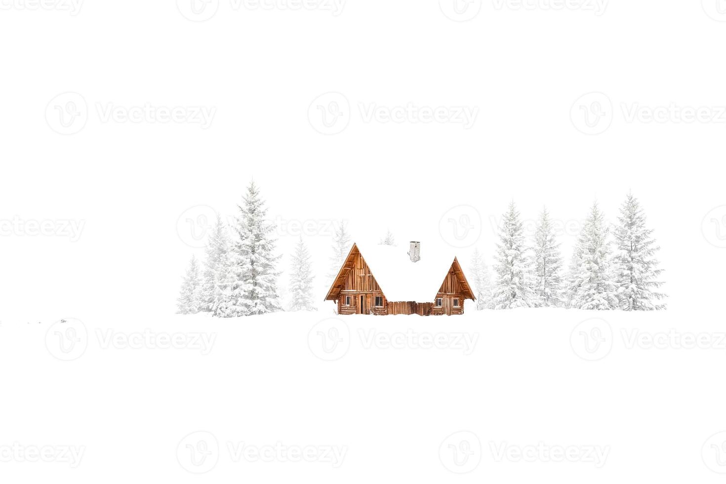 Cozy Cabin in Snowy Forest photo