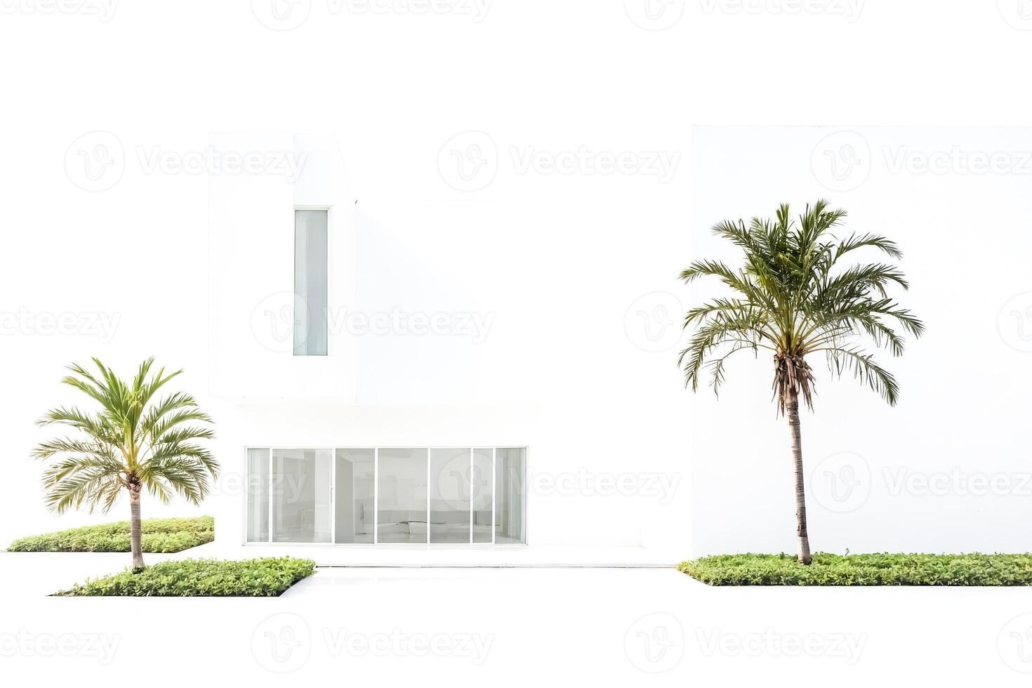 Minimalist white house with palm trees photo