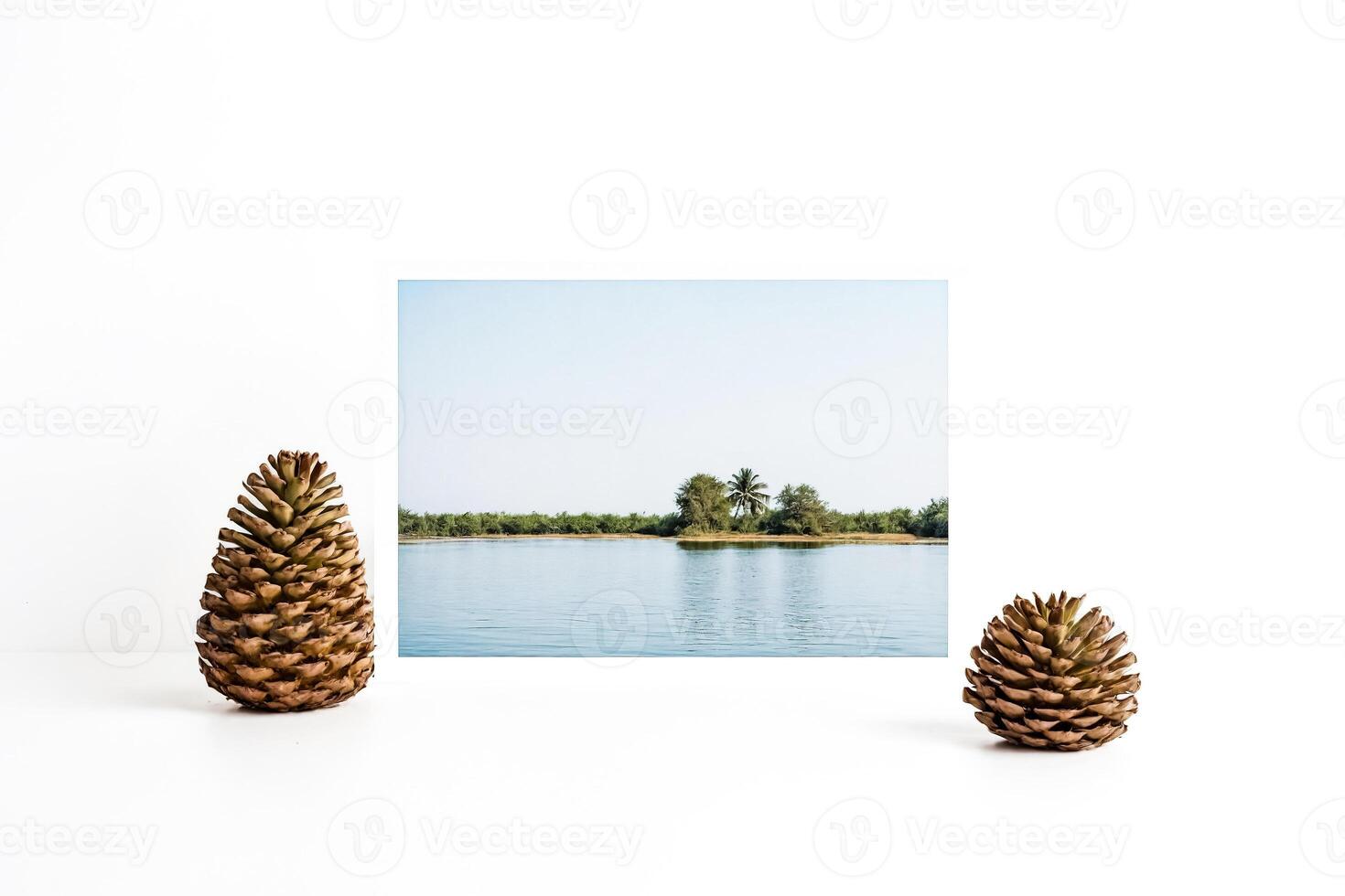 Pine cones and picture frame with lake and palm trees photo