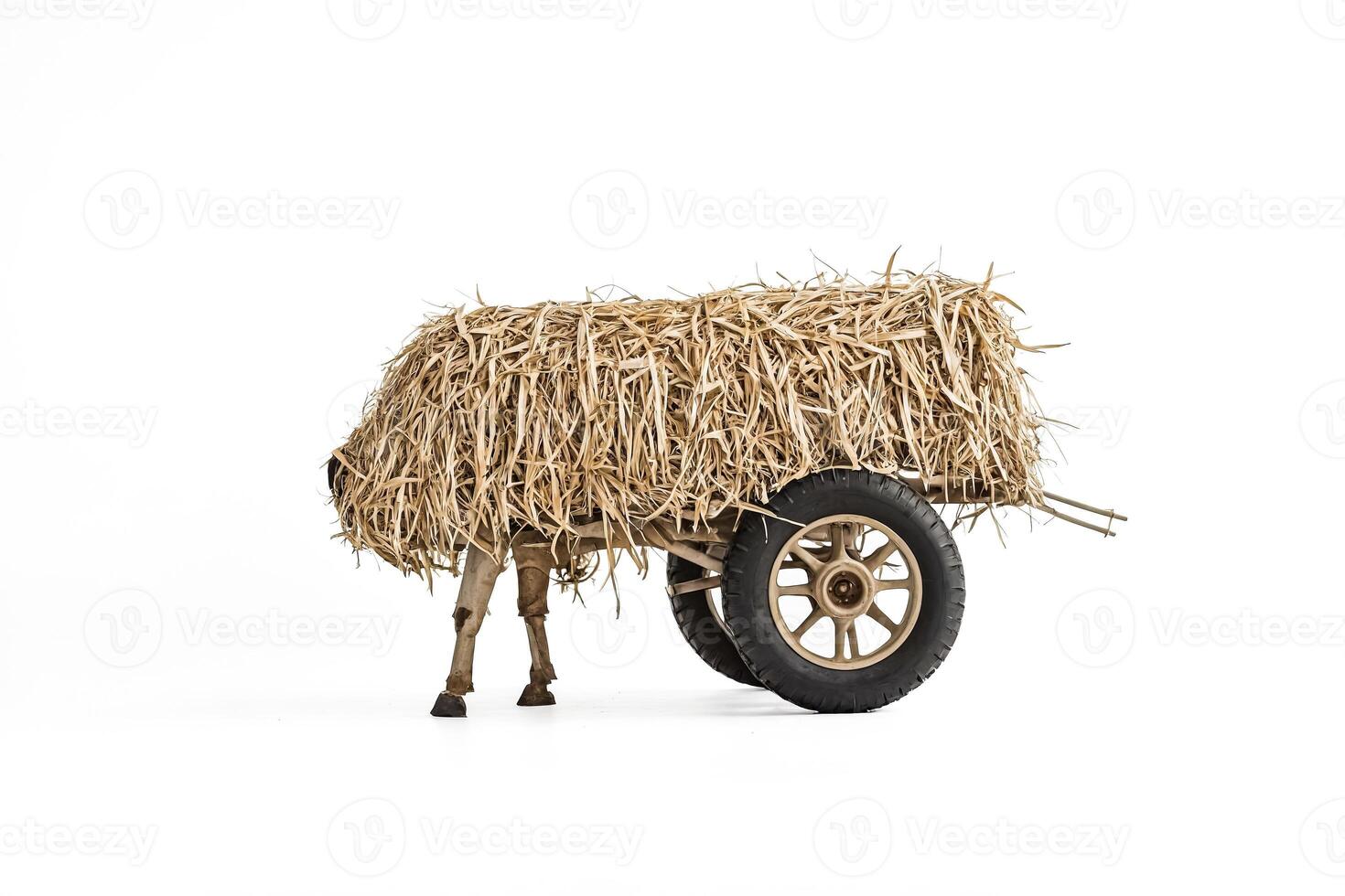 Hay Cart Isolated on White Background photo
