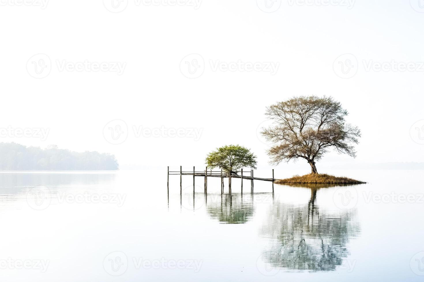 Tranquil Lake with Wooden Pier and Trees photo