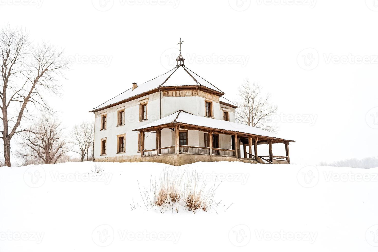 White House in a Snowy Landscape photo