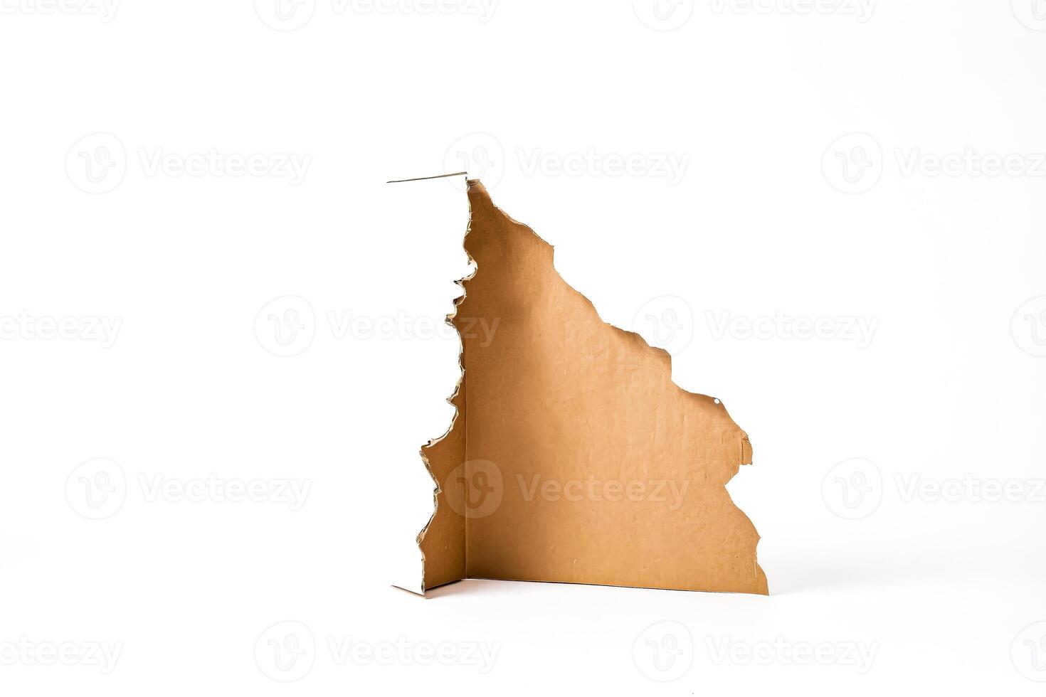 Torn Cardboard Box, White Background photo