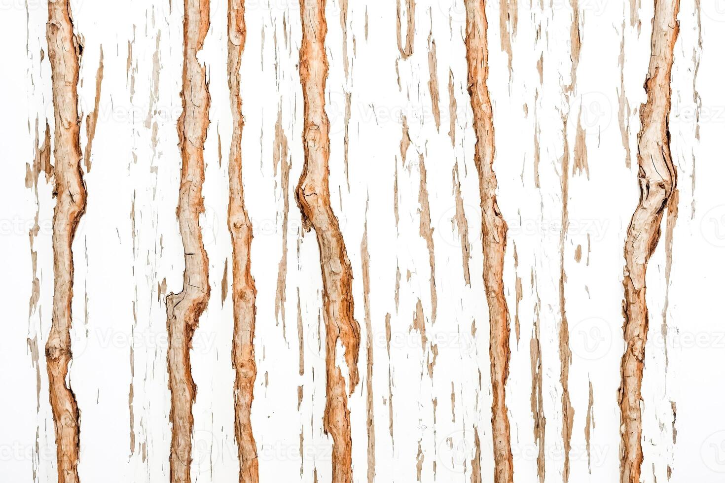 Close Up of Bark Texture on a Tree Trunk photo