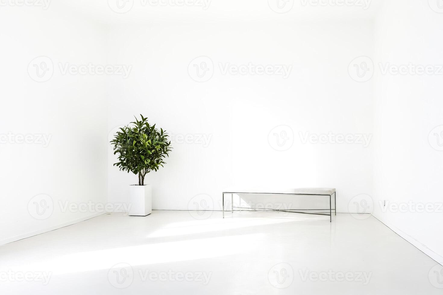Minimalist Interior Design with Plant and Bench in White Room photo