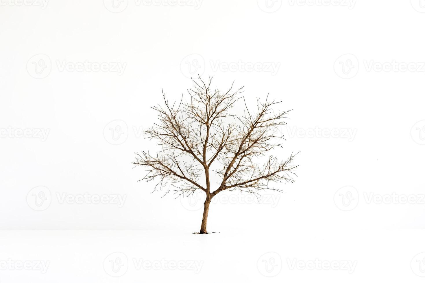 Bare Tree in a Snowy Field photo