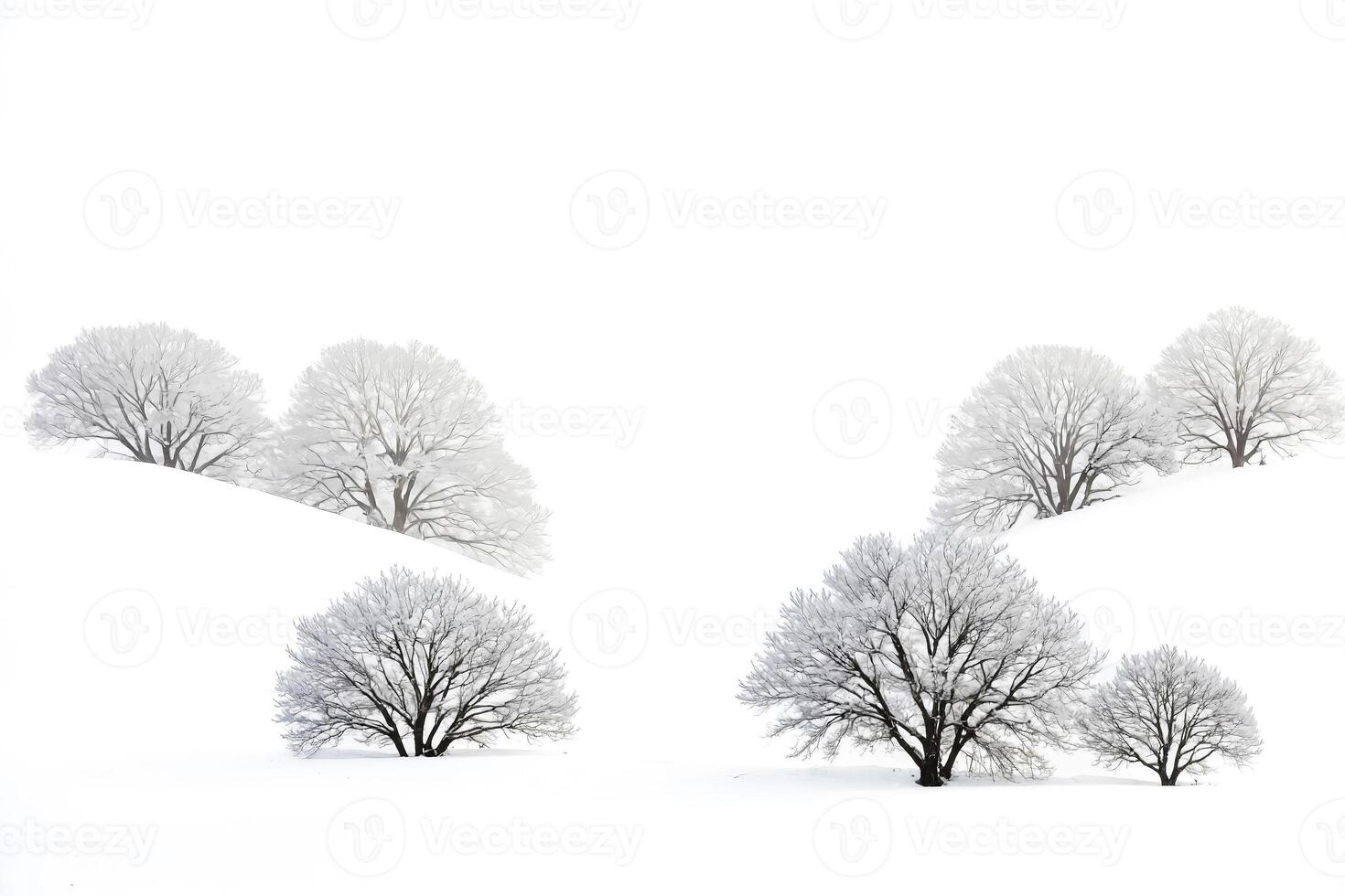 Snowy Trees in a Winter Landscape photo