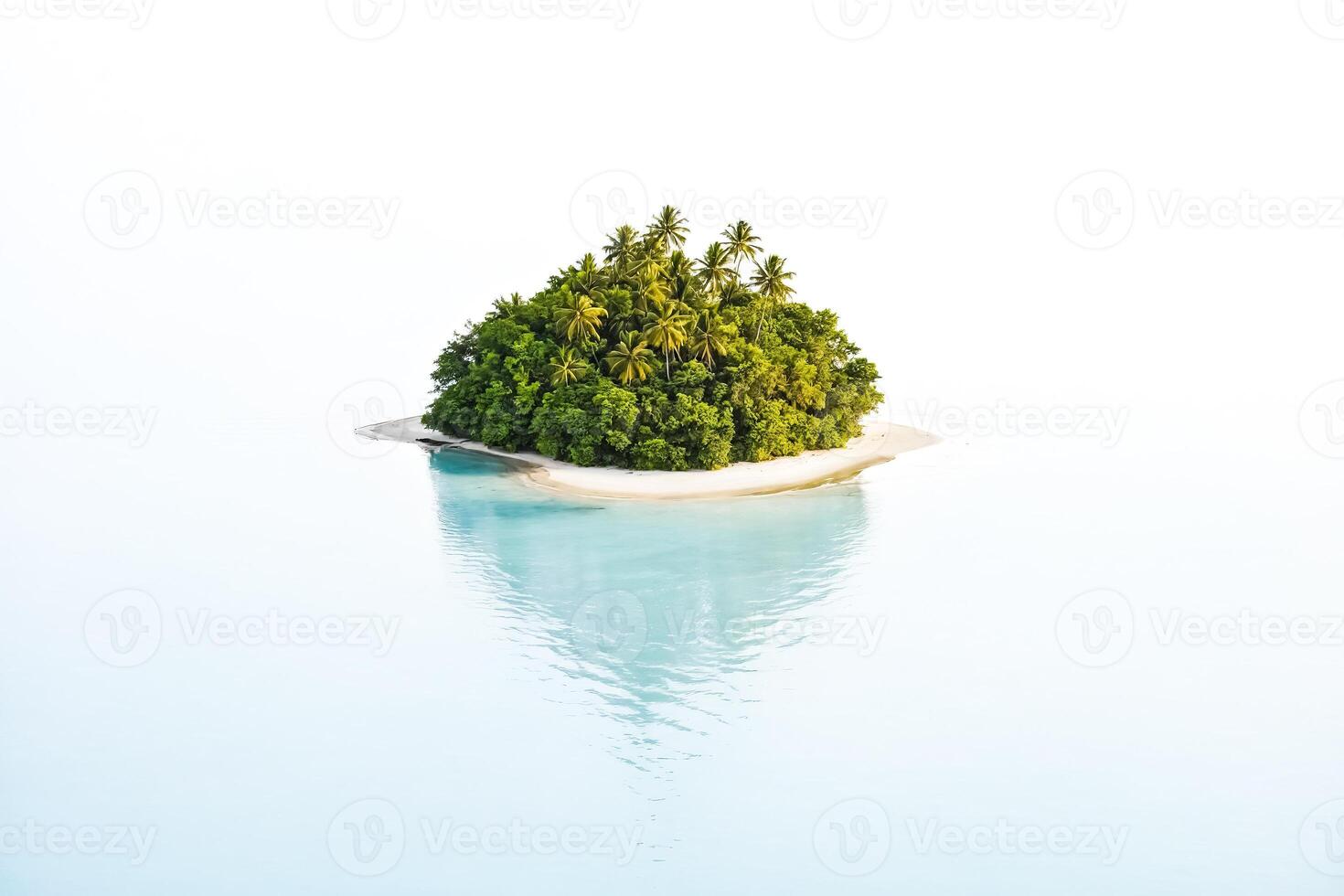 Tropical Island with Palm Trees in the Turquoise Water photo