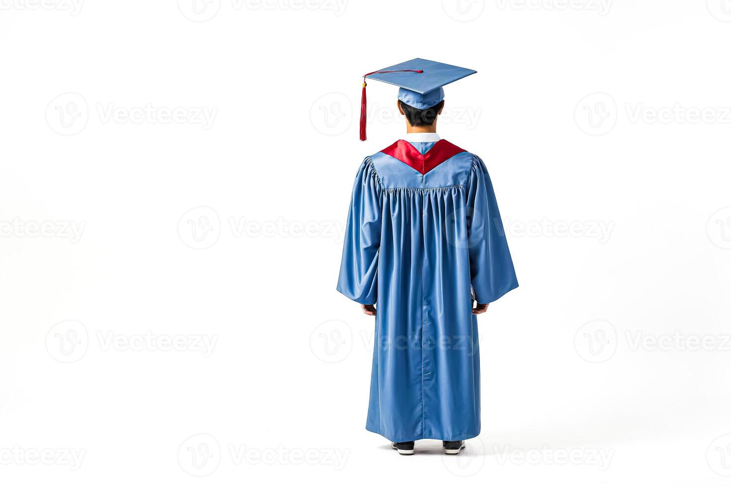 Rear view of a graduate in cap and gown photo