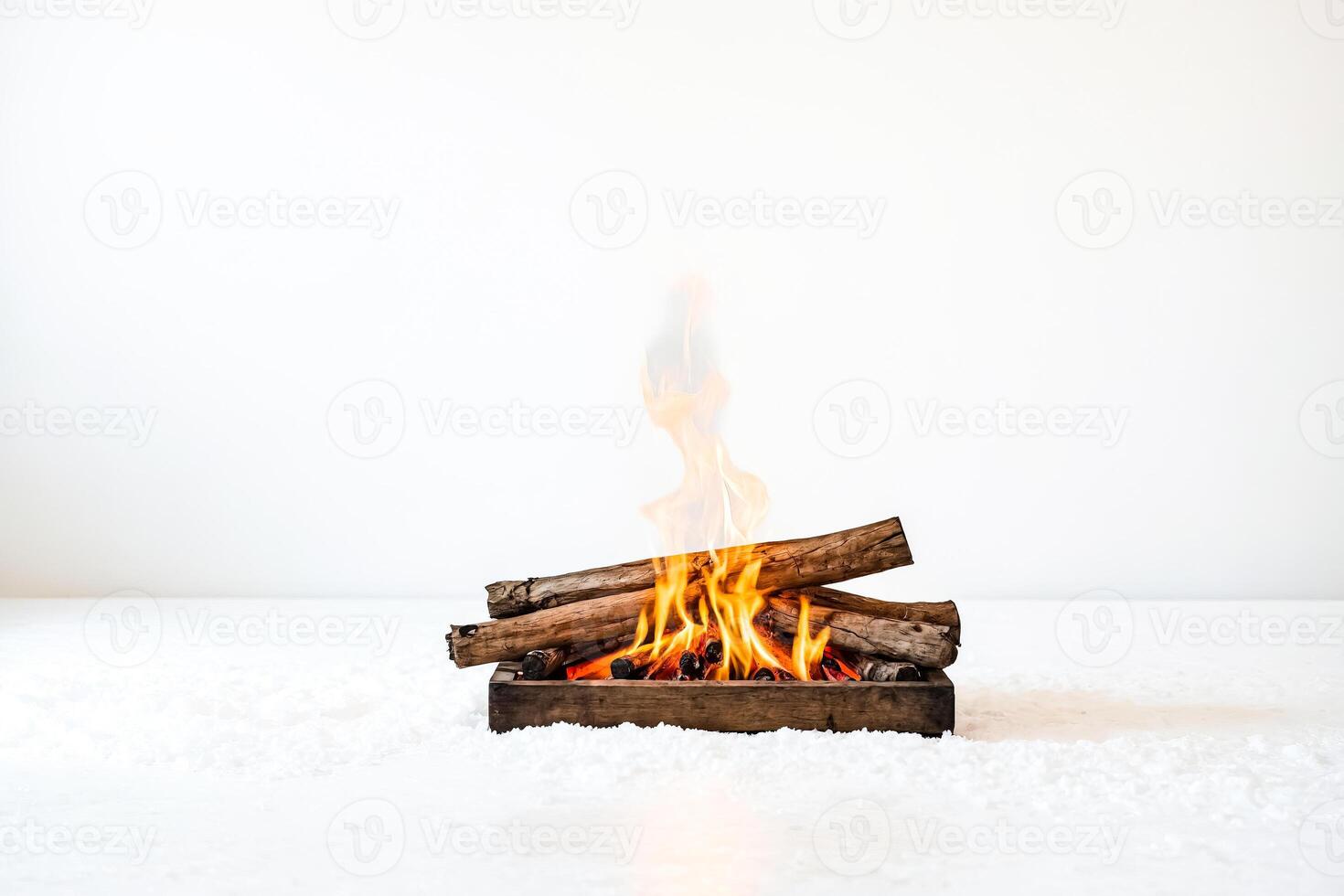 Campfire in the Snow photo