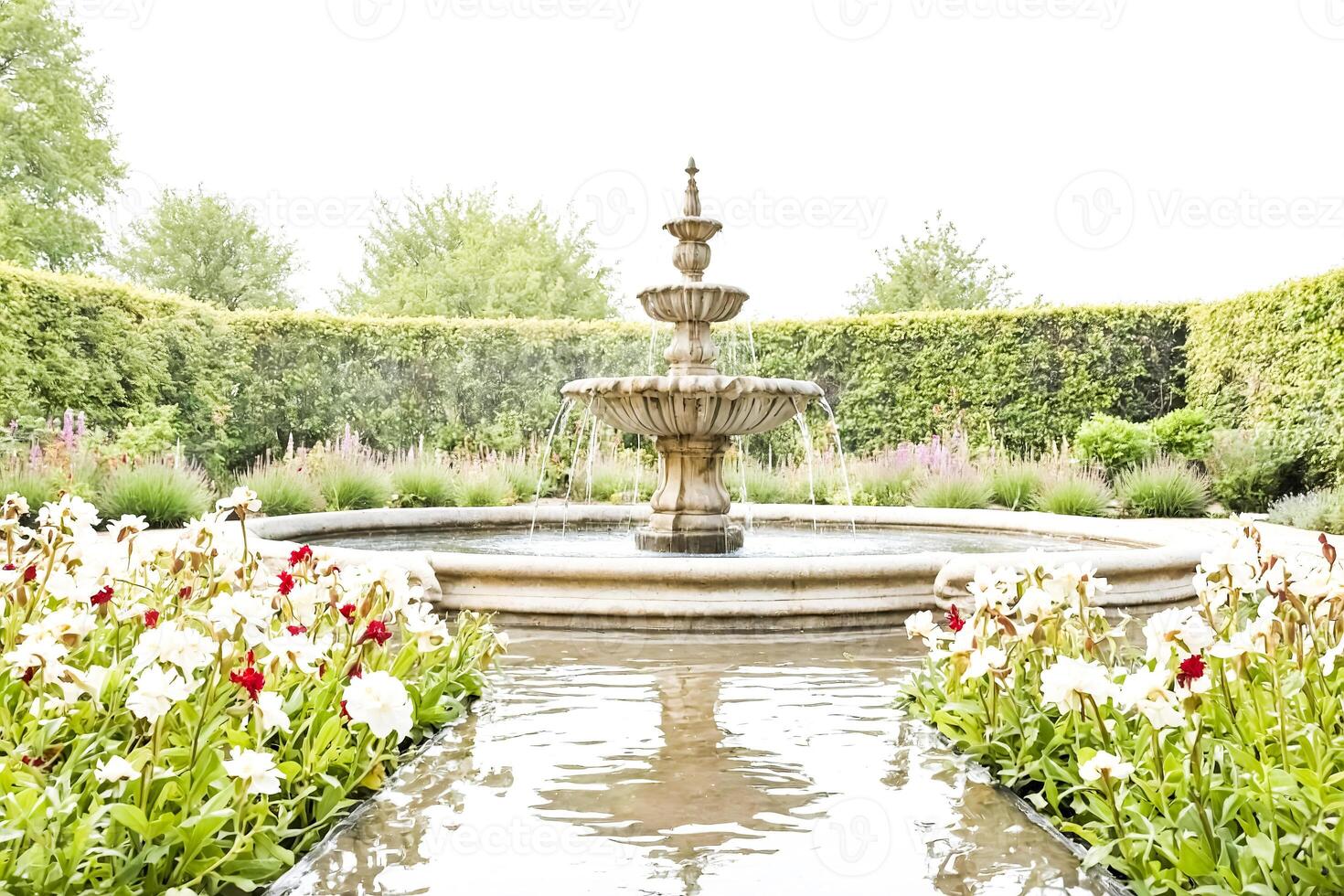 Ornate Fountain in a Lush Garden photo