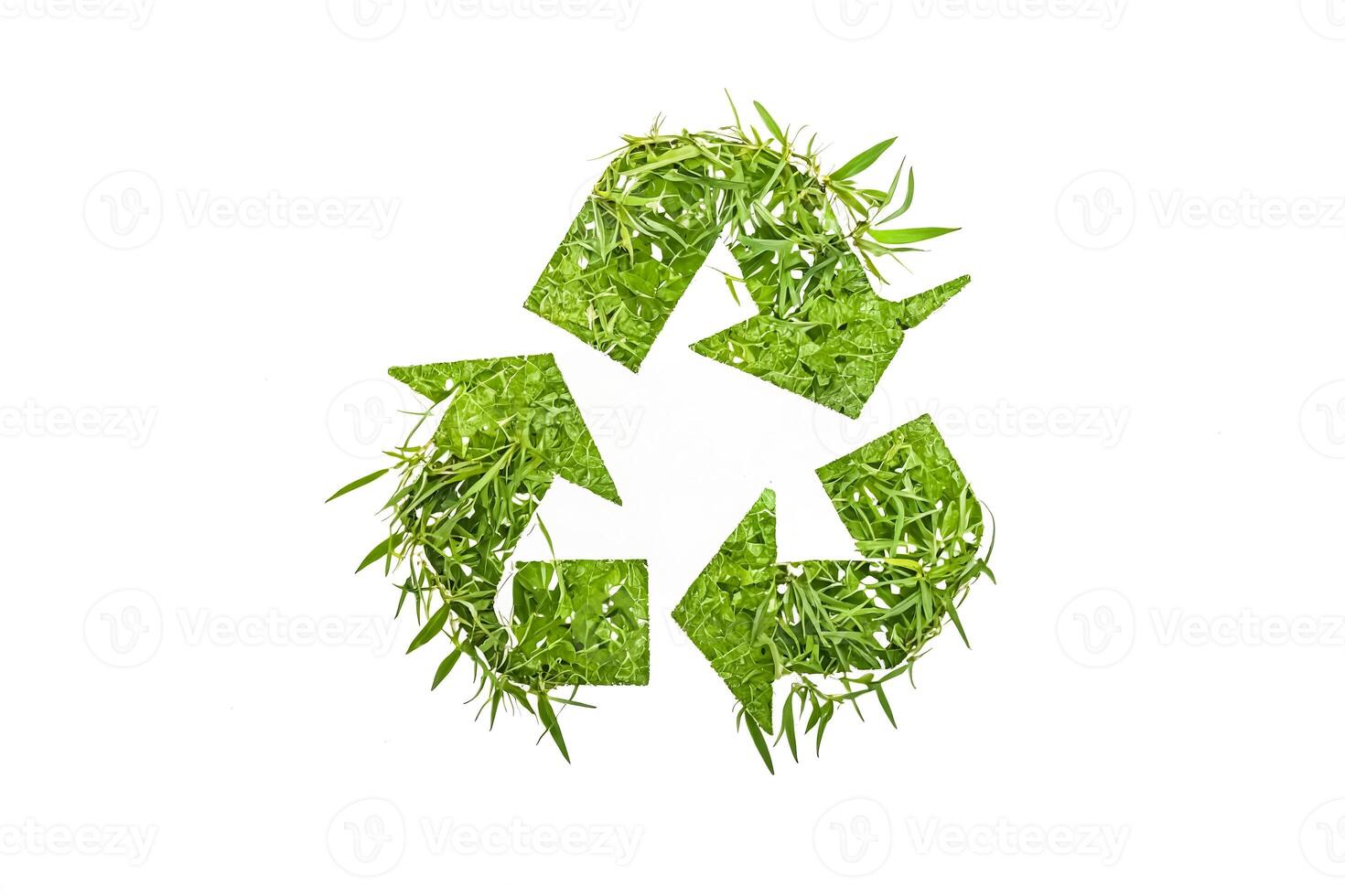 Green Recycle Symbol photo
