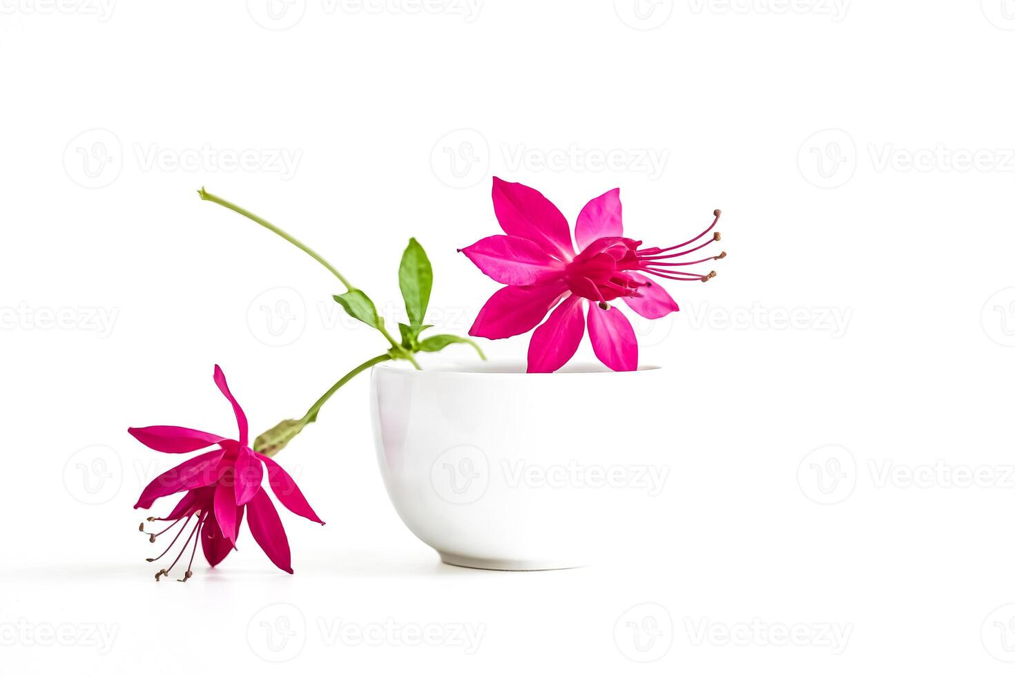 Pink Flowers in White Bowl photo