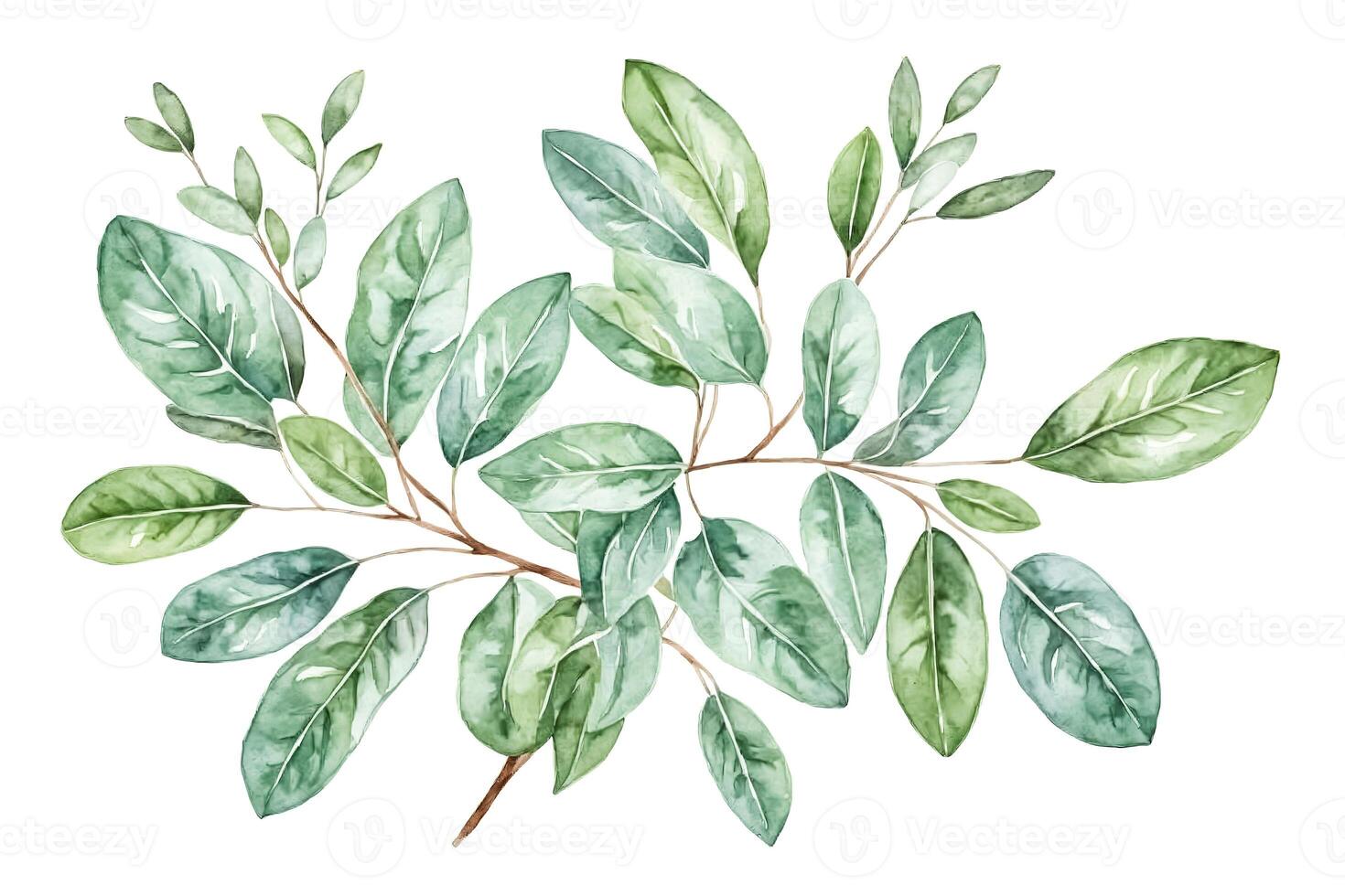 Watercolor Green Leaves Branch photo