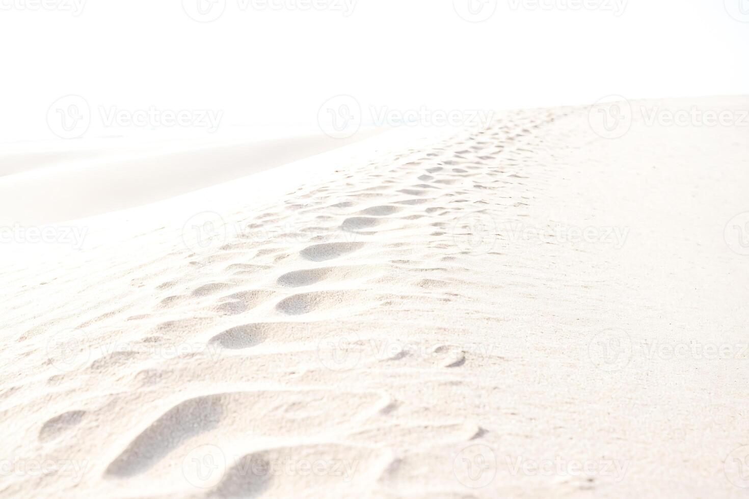Footprints in the Sand photo