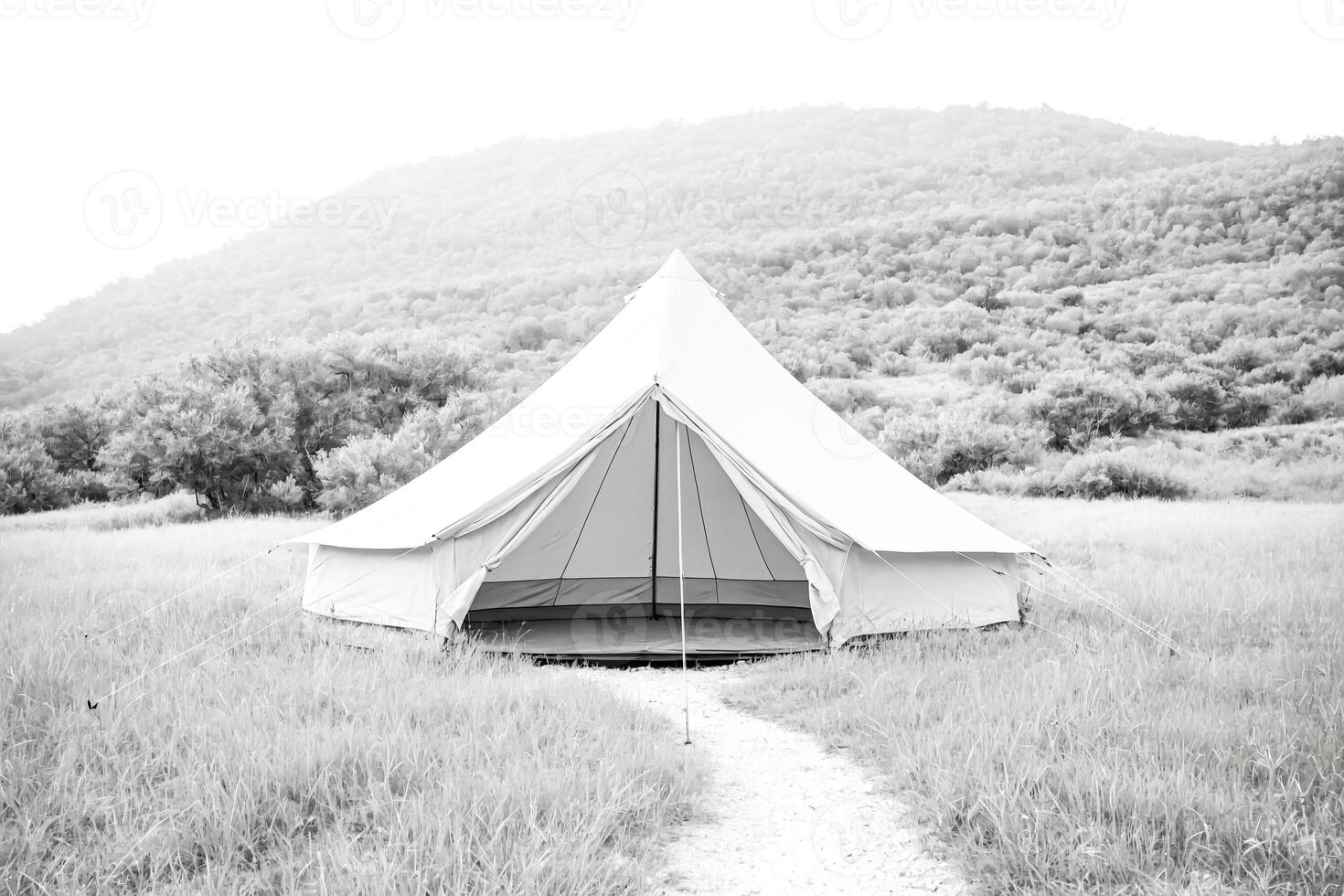 Tent in a Field with Trees in the Background photo