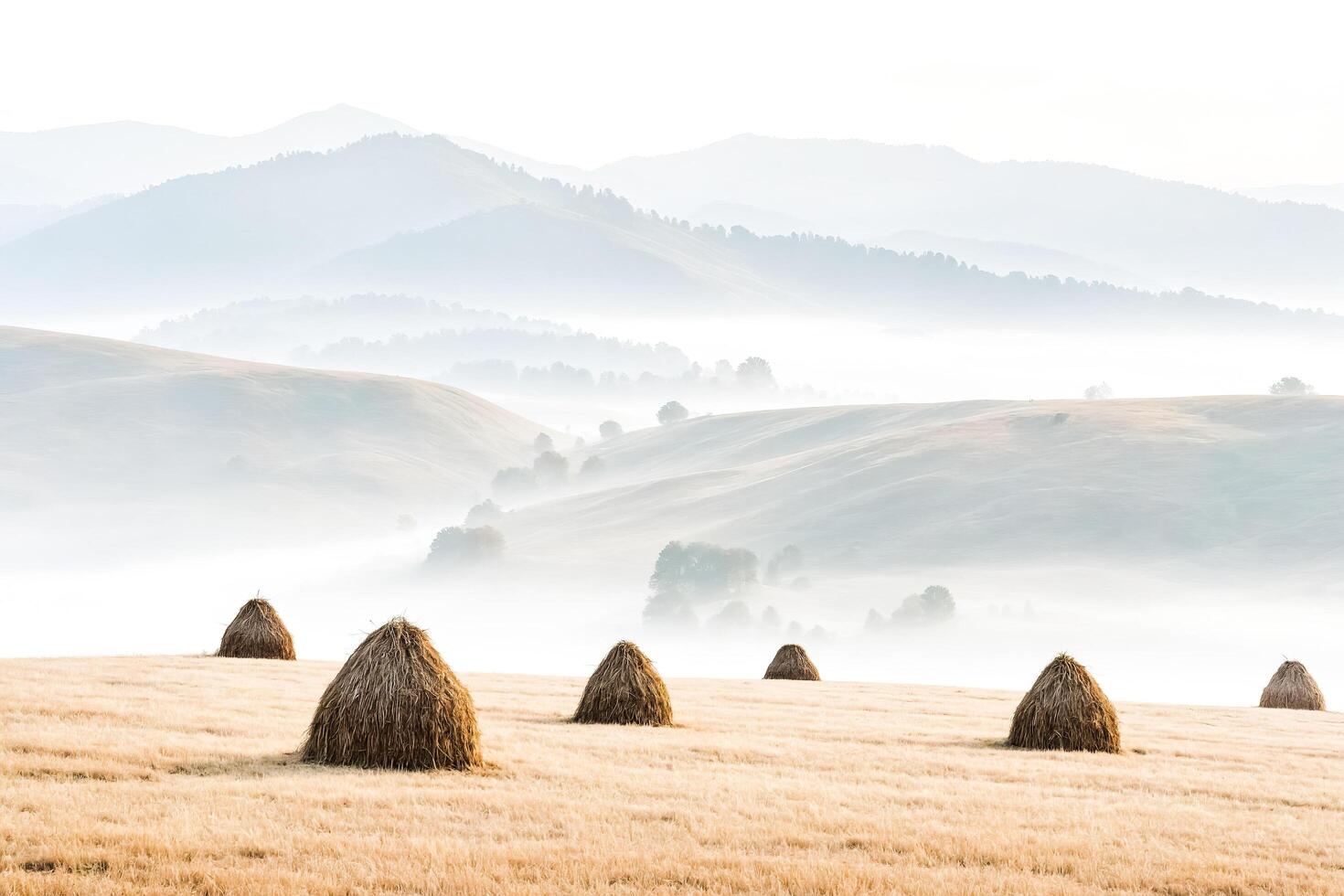 Haystacks in a Misty Meadow photo
