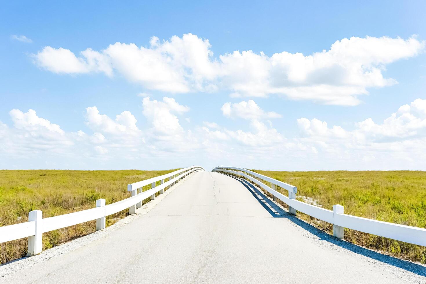 Straight Road on a Sunny Day with White Guardrails and a Blue Sky with White Clouds photo