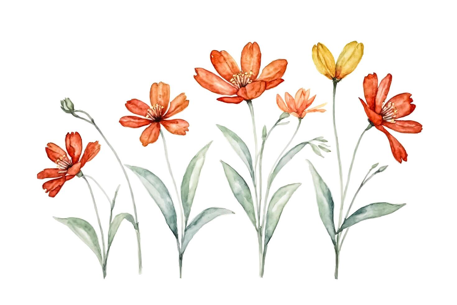 Watercolor illustration of a floral bouquet with orange and yellow flowers photo