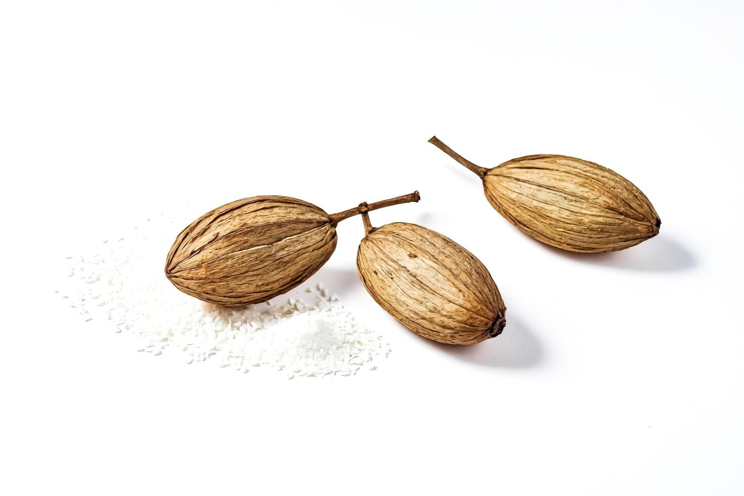 Dried Coconut Husks and Coconut Flakes on White Background photo