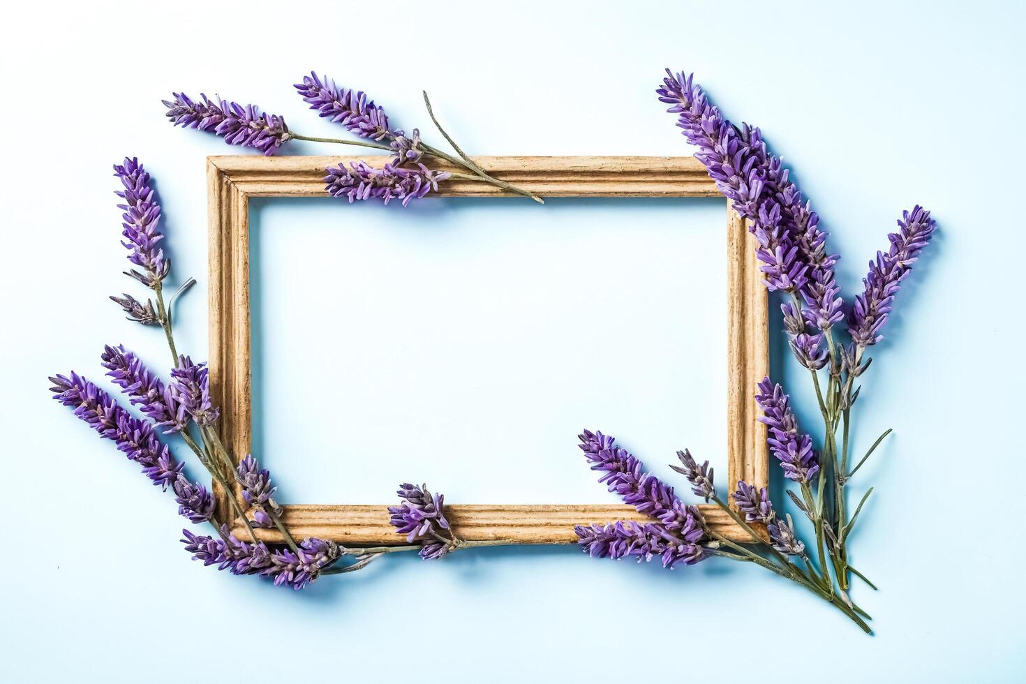 Lavender Flowers Frame photo