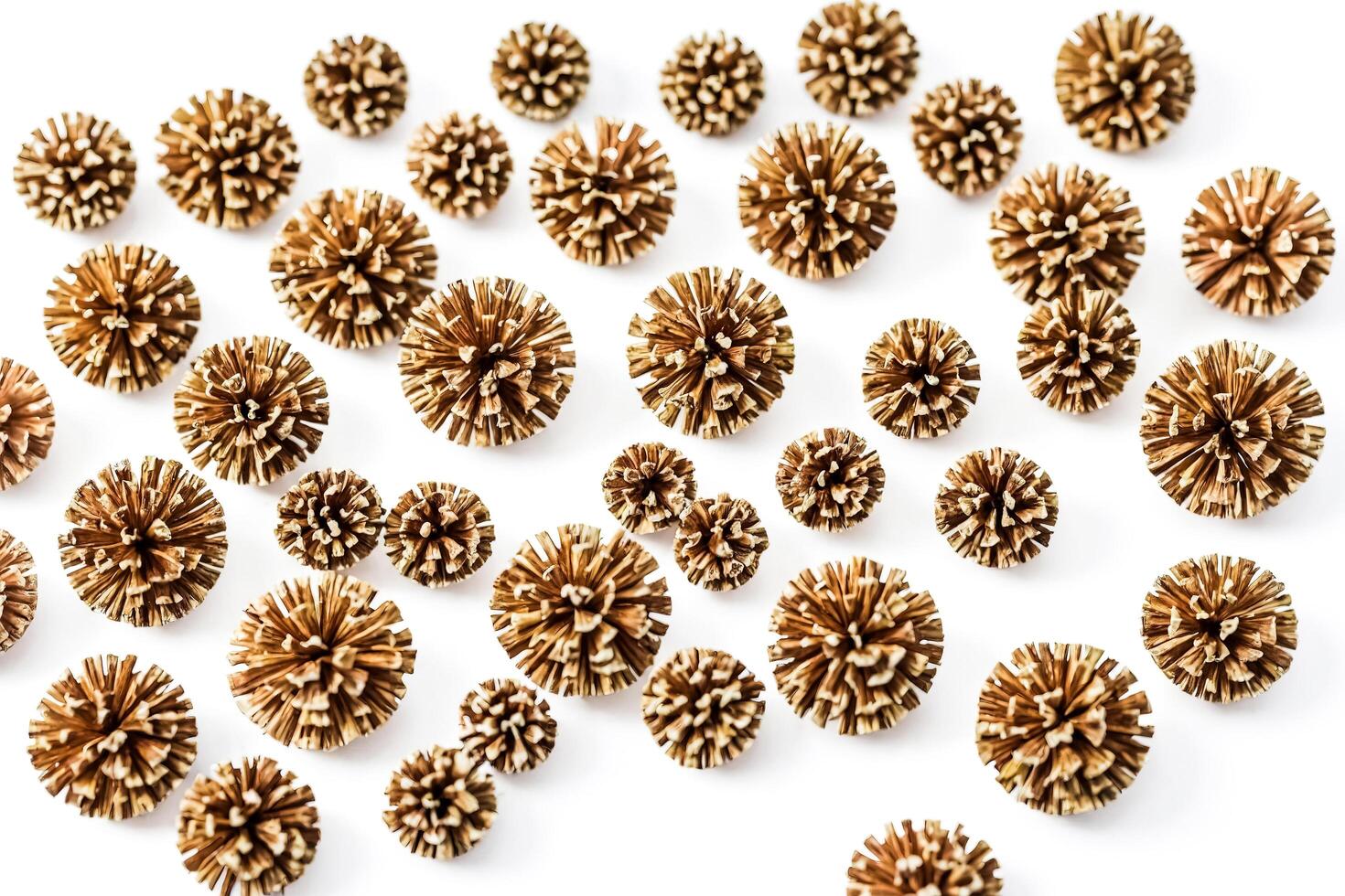 Rustic Brown Pine Cones on White Background photo