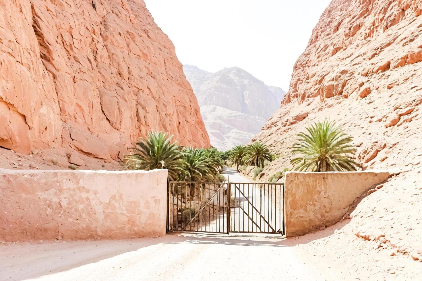 Gates to the Desert Oasis photo