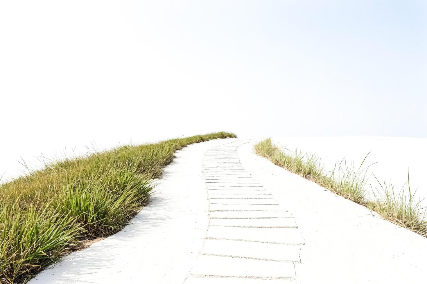 A Pathway Through the Dunes photo