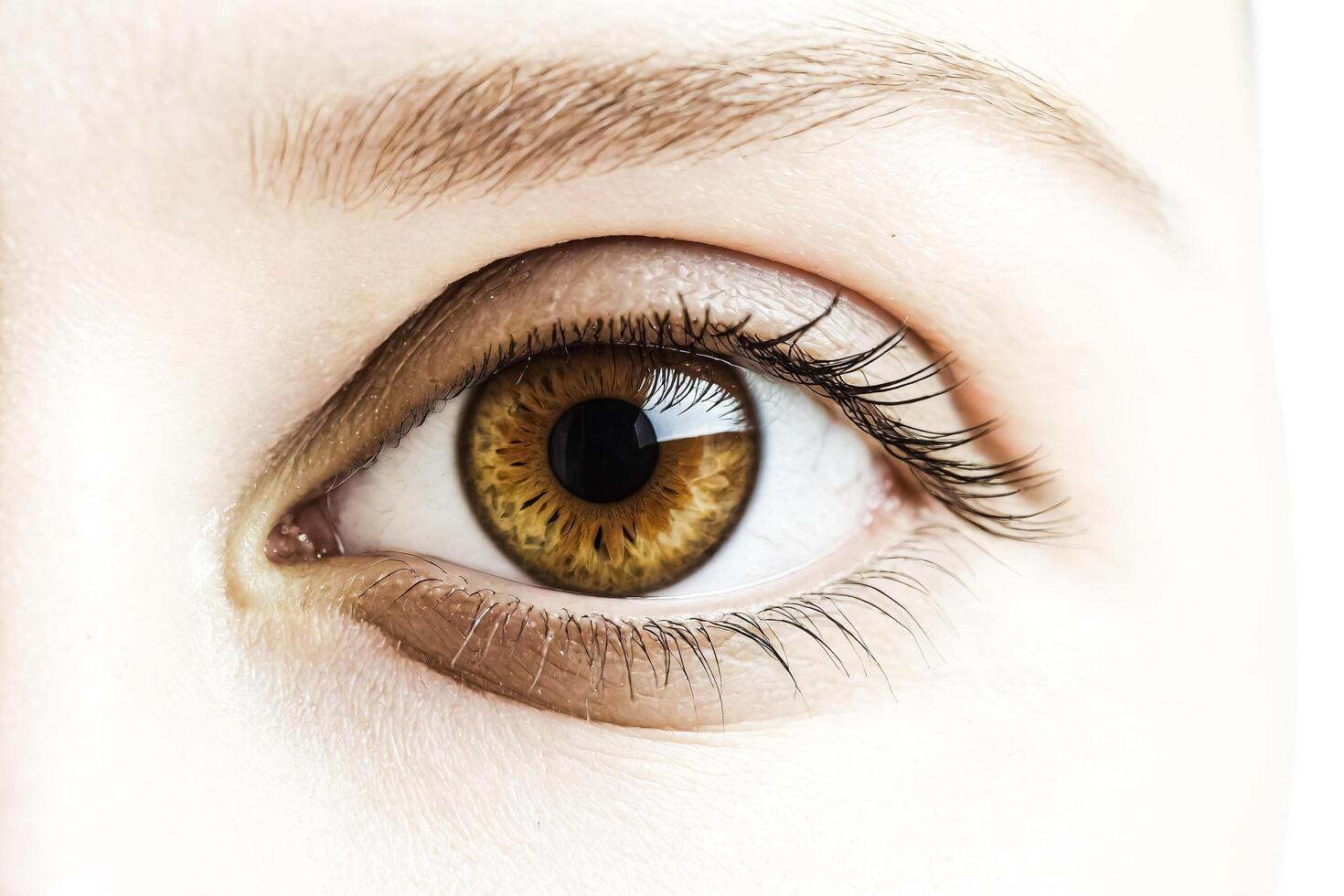 Close up of a brown eye with long eyelashes photo