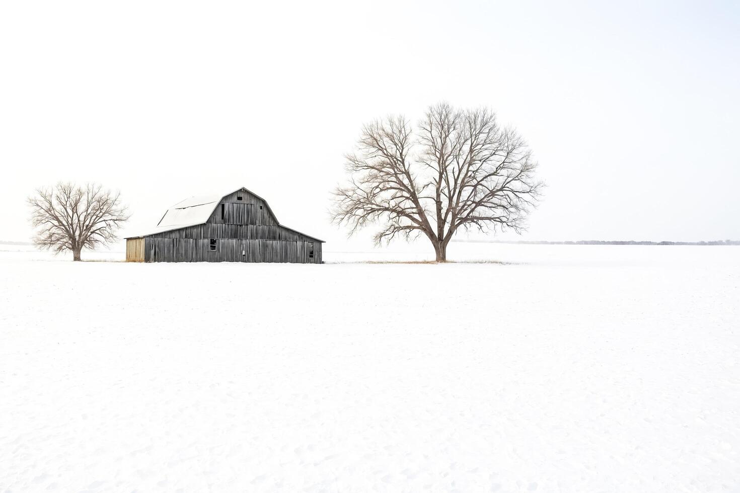 Lonely Barn in a Snowy Field photo