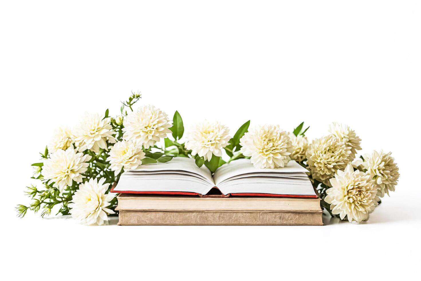 Open Book with White Flowers photo