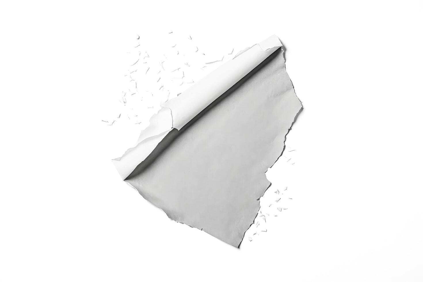Torn Paper With White Background photo