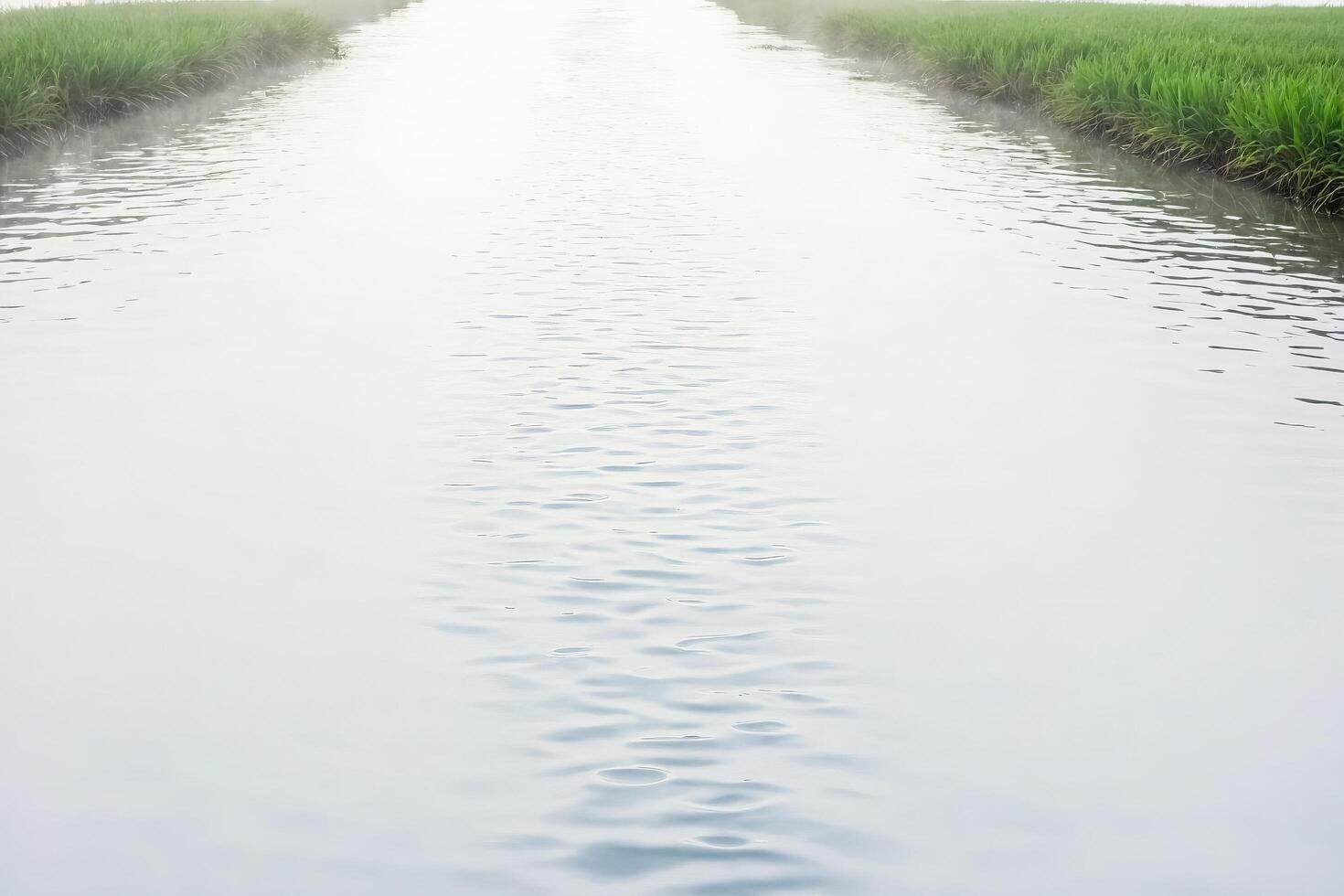 Ripples in a Calm River photo