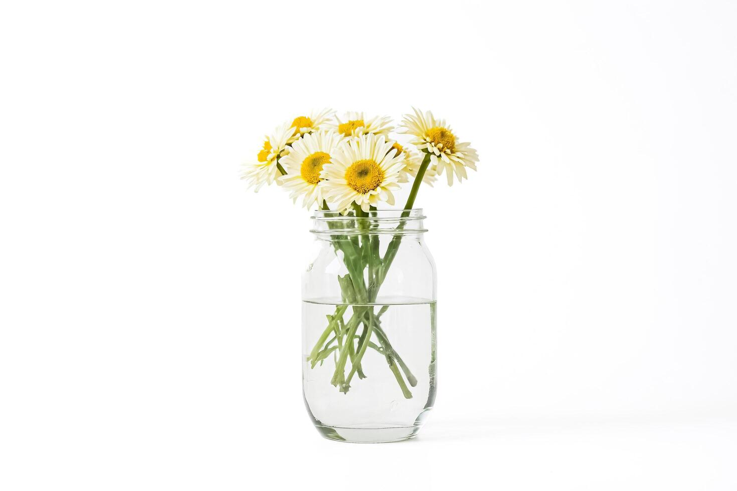 Daisies in a Jar photo